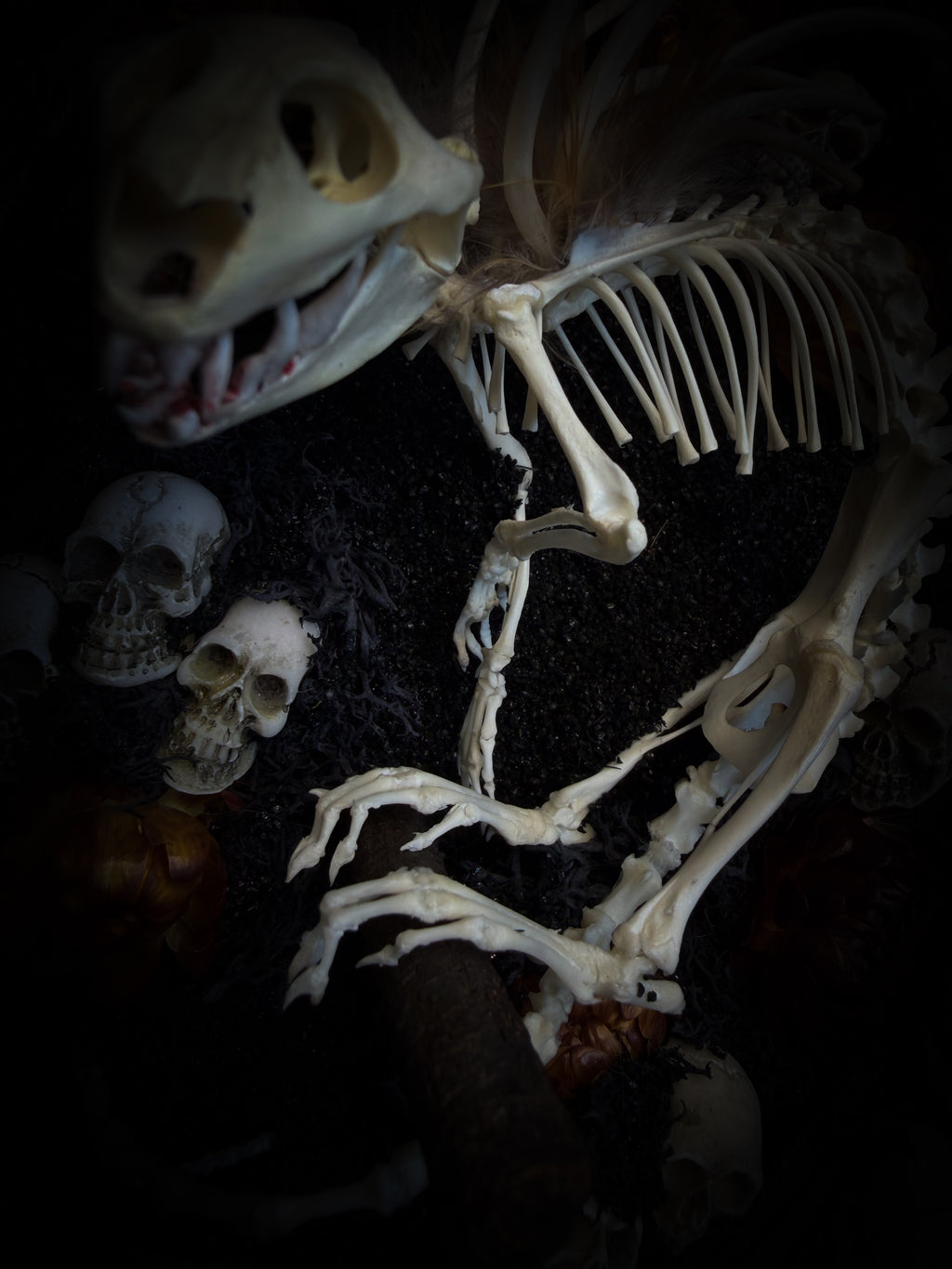 Handmade gothic wall decor — hand-assembled real bone dragon skeleton with turtle skull, hand-cast gothic frame with dragons and skull motifs, 25x20cm