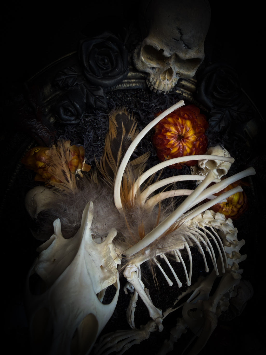 Handmade gothic wall decor — hand-assembled real bone dragon skeleton with turtle skull, hand-cast gothic frame with dragons and skull motifs, 25x20cm