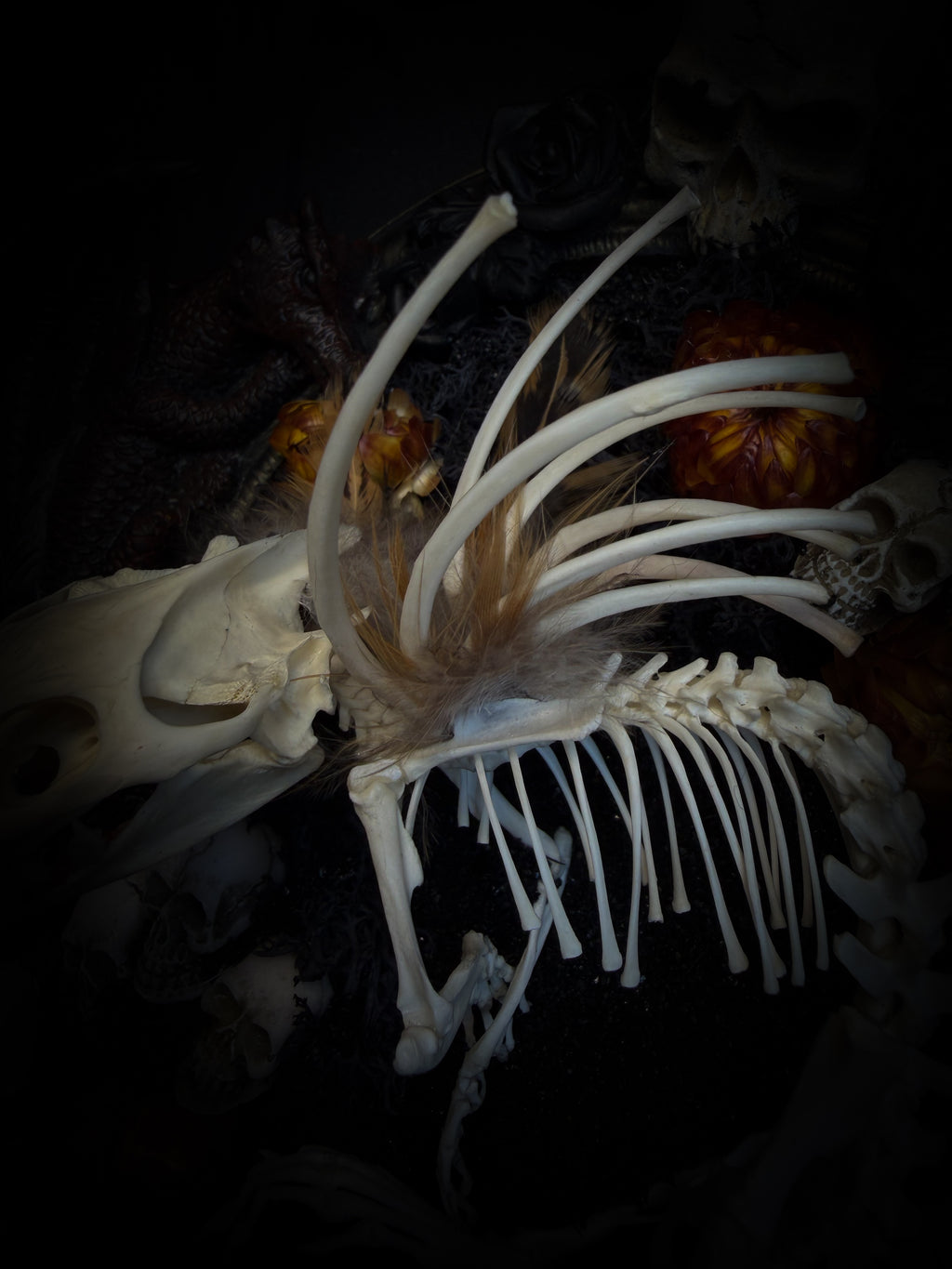 Handmade gothic wall decor — hand-assembled real bone dragon skeleton with turtle skull, hand-cast gothic frame with dragons and skull motifs, 25x20cm