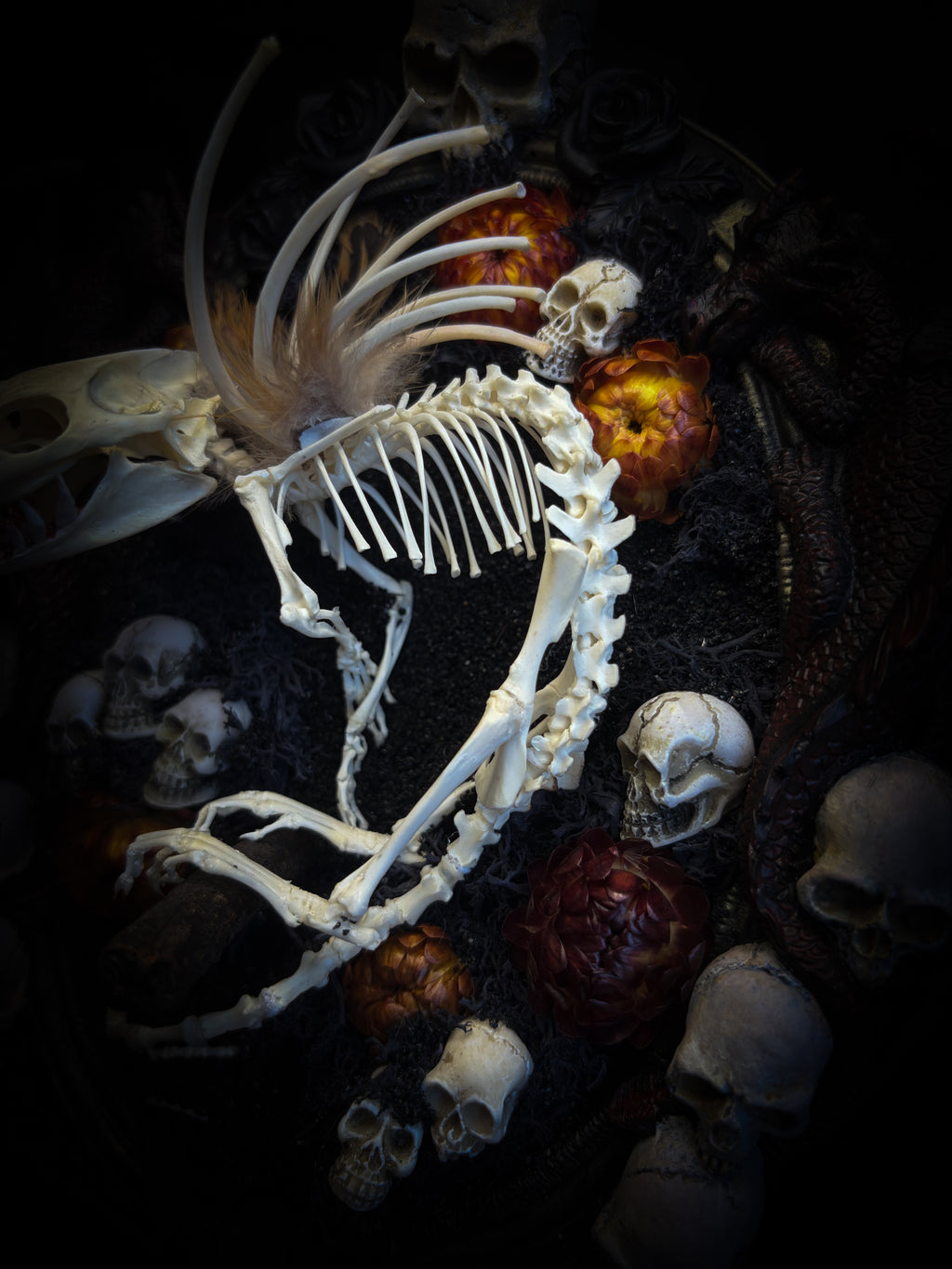 Handmade gothic wall decor — hand-assembled real bone dragon skeleton with turtle skull, hand-cast gothic frame with dragons and skull motifs, 25x20cm