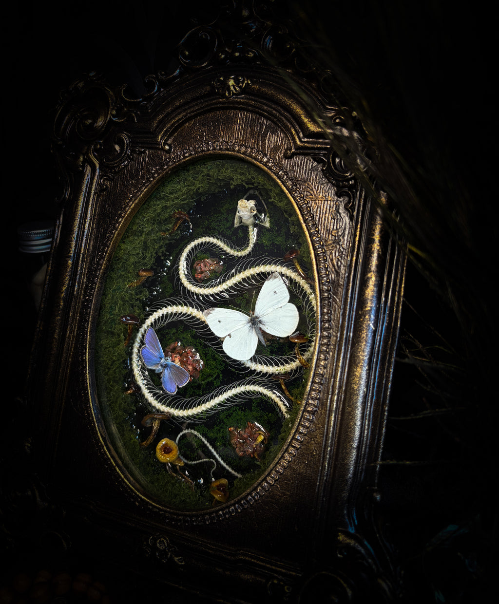 Handmade gothic shadowbox — real snake skeleton with preserved butterflies, moss and dried flowers, ornate baroque frame with aged gold finish, 22x30cm