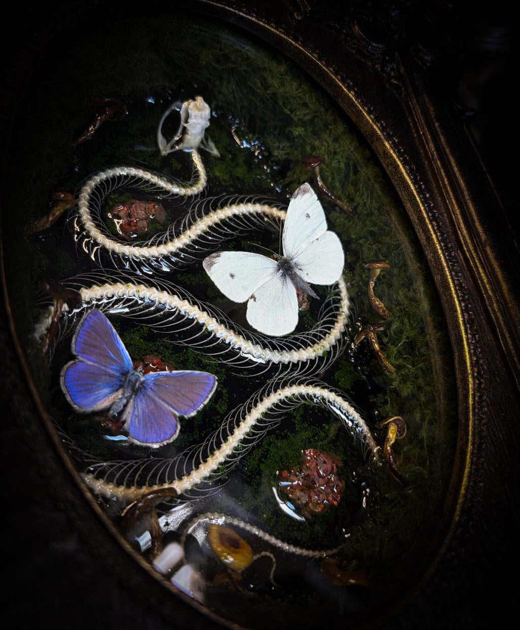 Handmade gothic shadowbox — real snake skeleton with preserved butterflies, moss and dried flowers, ornate baroque frame with aged gold finish, 22x30cm