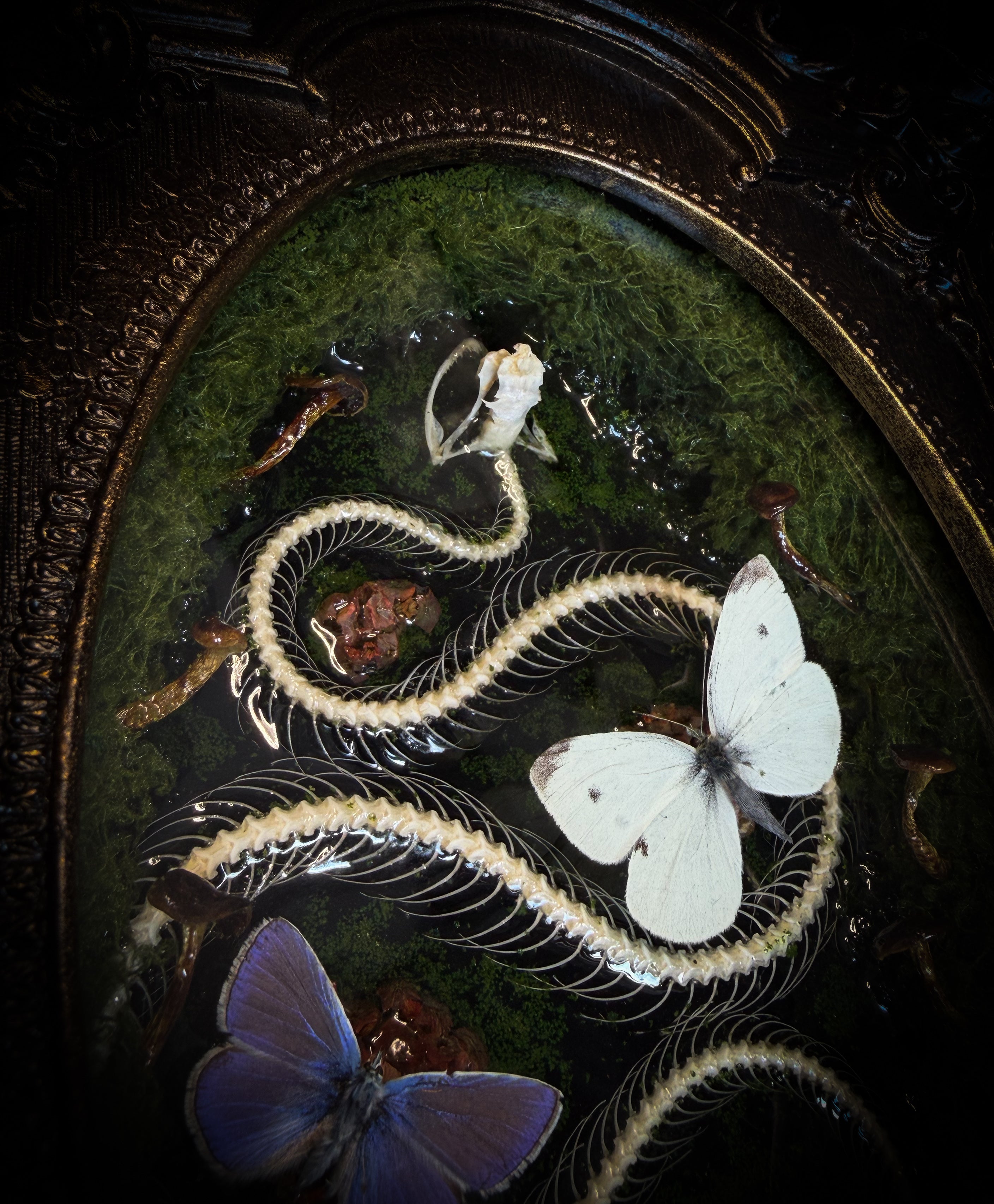 Handmade gothic shadowbox — real snake skeleton with preserved butterflies, moss and dried flowers, ornate baroque frame with aged gold finish, 22x30cm
