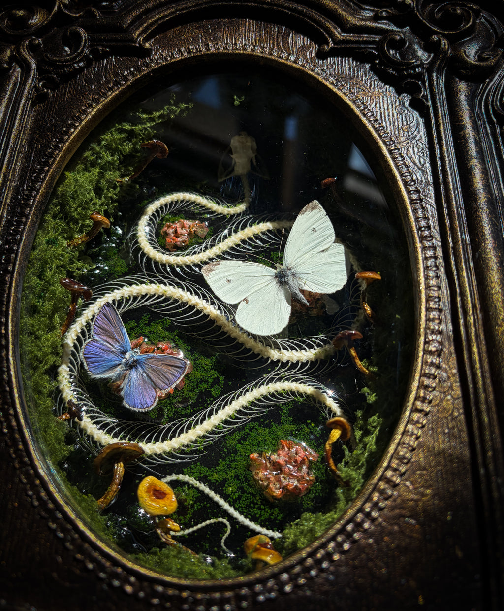 Handmade gothic shadowbox — real snake skeleton with preserved butterflies, moss and dried flowers, ornate baroque frame with aged gold finish, 22x30cm