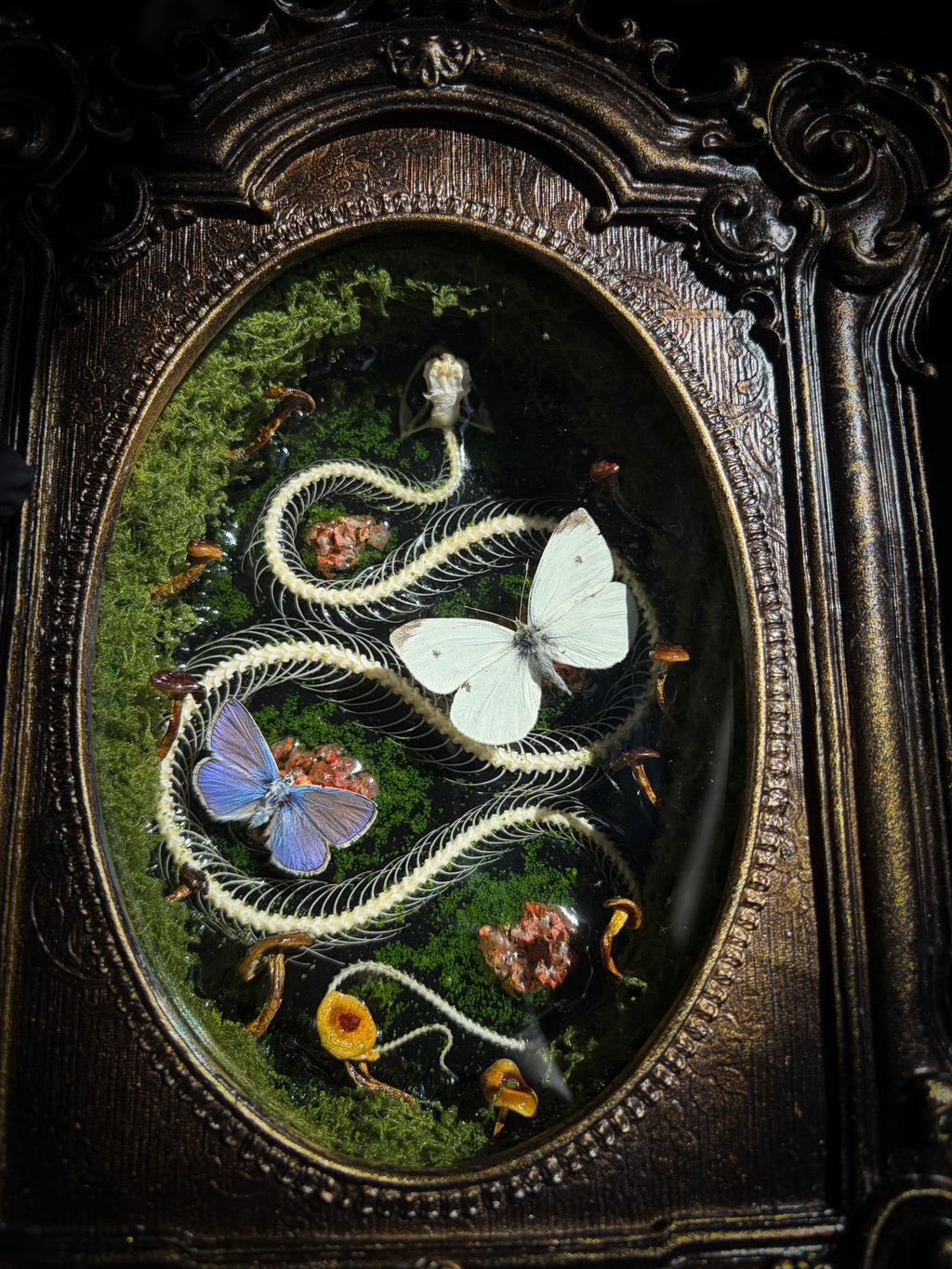 Handmade gothic shadowbox — real snake skeleton with preserved butterflies, moss and dried flowers, ornate baroque frame with aged gold finish, 22x30cm