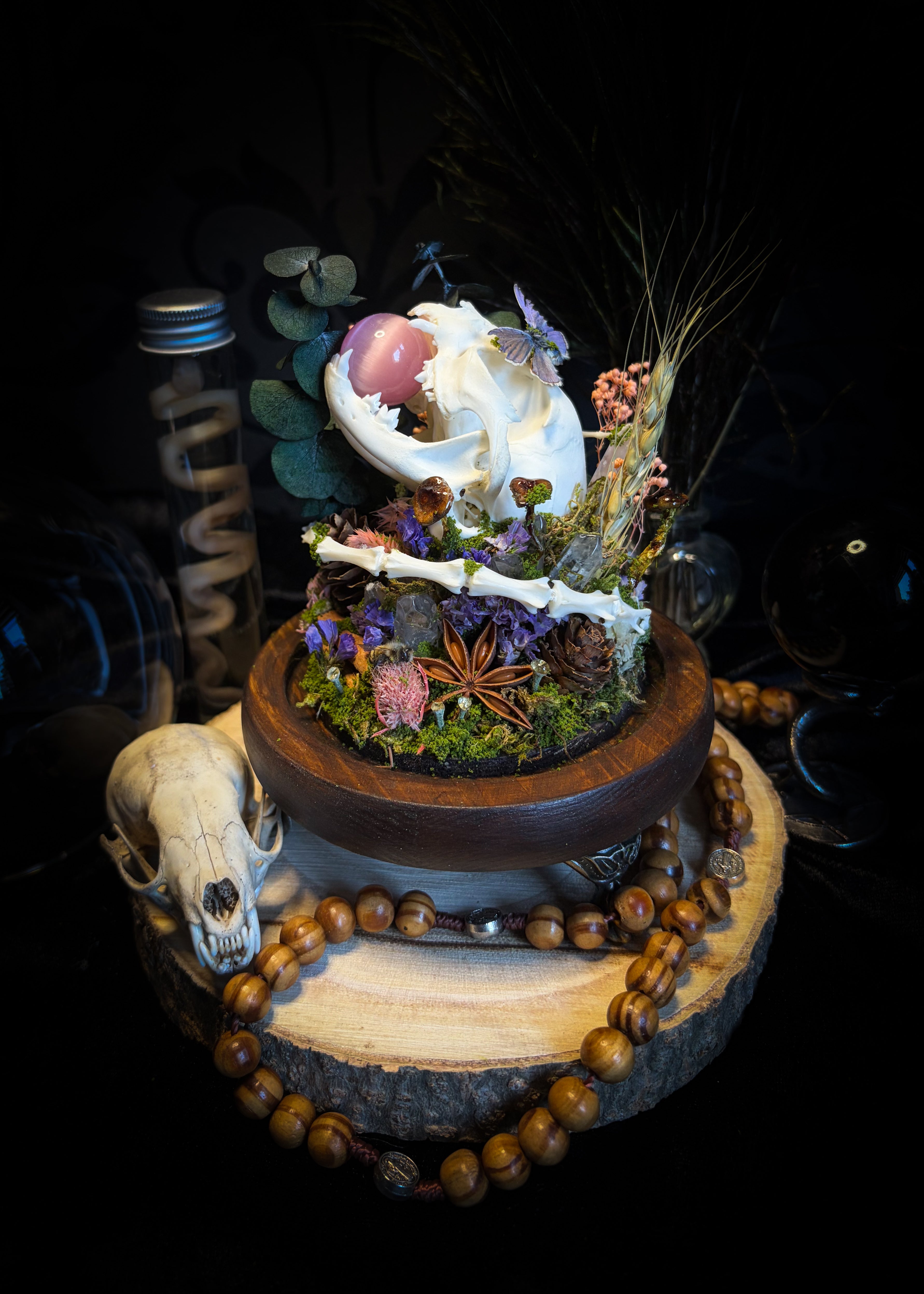 Handmade woodland shadowbox — kitten skull with pink quartz in glass dome, moss, dried flowers and crystals, fairytale gothic decor, 18x16cm