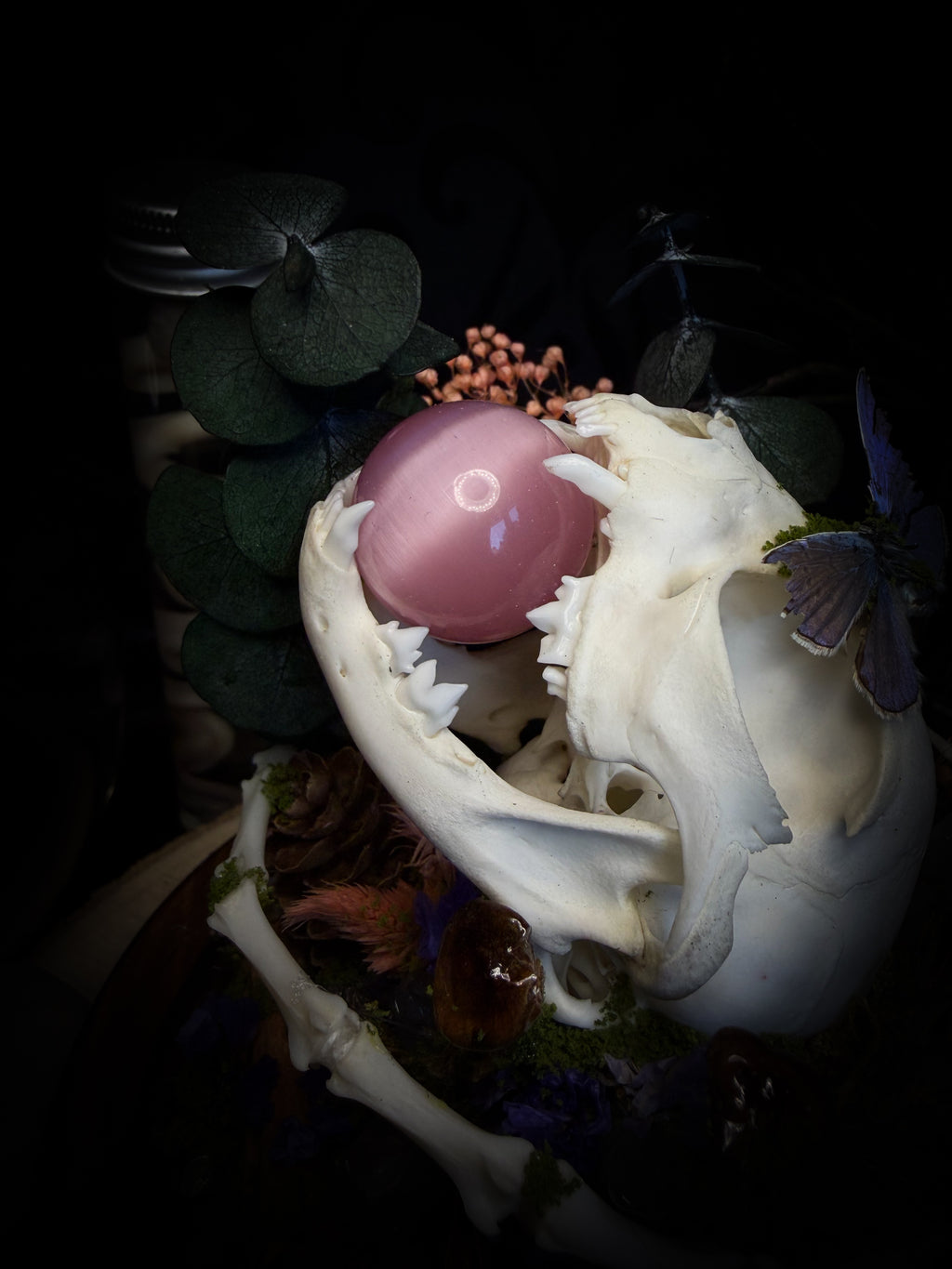 Handmade woodland shadowbox — kitten skull with pink quartz in glass dome, moss, dried flowers and crystals, fairytale gothic decor, 18x16cm