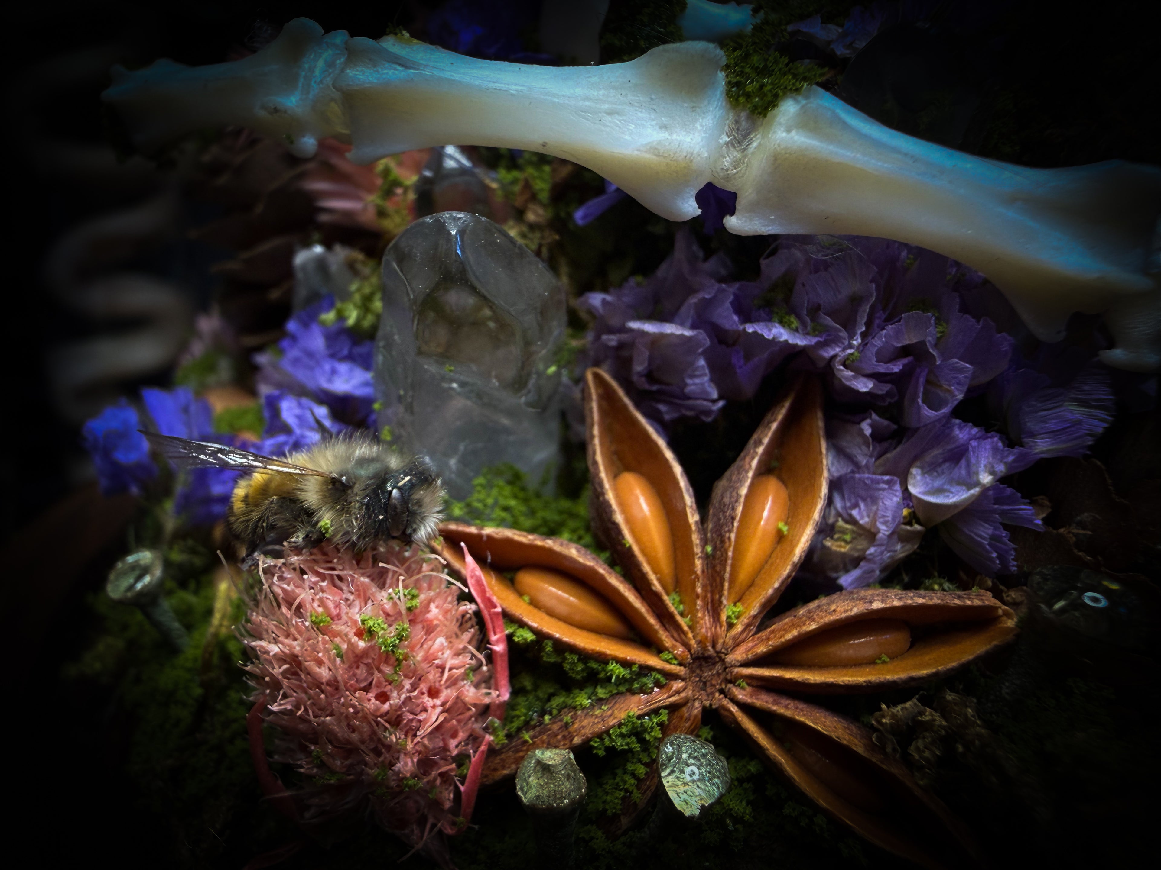 Handmade woodland shadowbox — kitten skull with pink quartz in glass dome, moss, dried flowers and crystals, fairytale gothic decor, 18x16cm