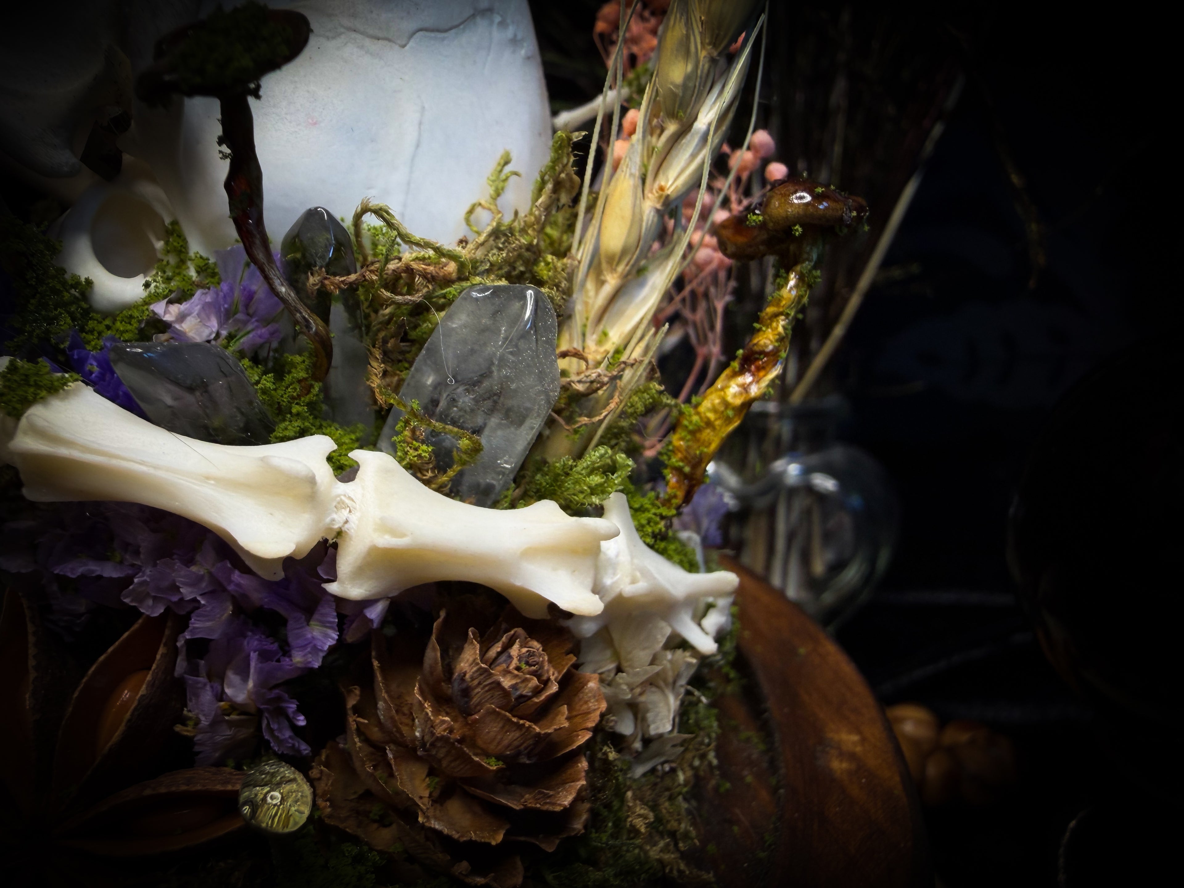 Handmade woodland shadowbox — kitten skull with pink quartz in glass dome, moss, dried flowers and crystals, fairytale gothic decor, 18x16cm