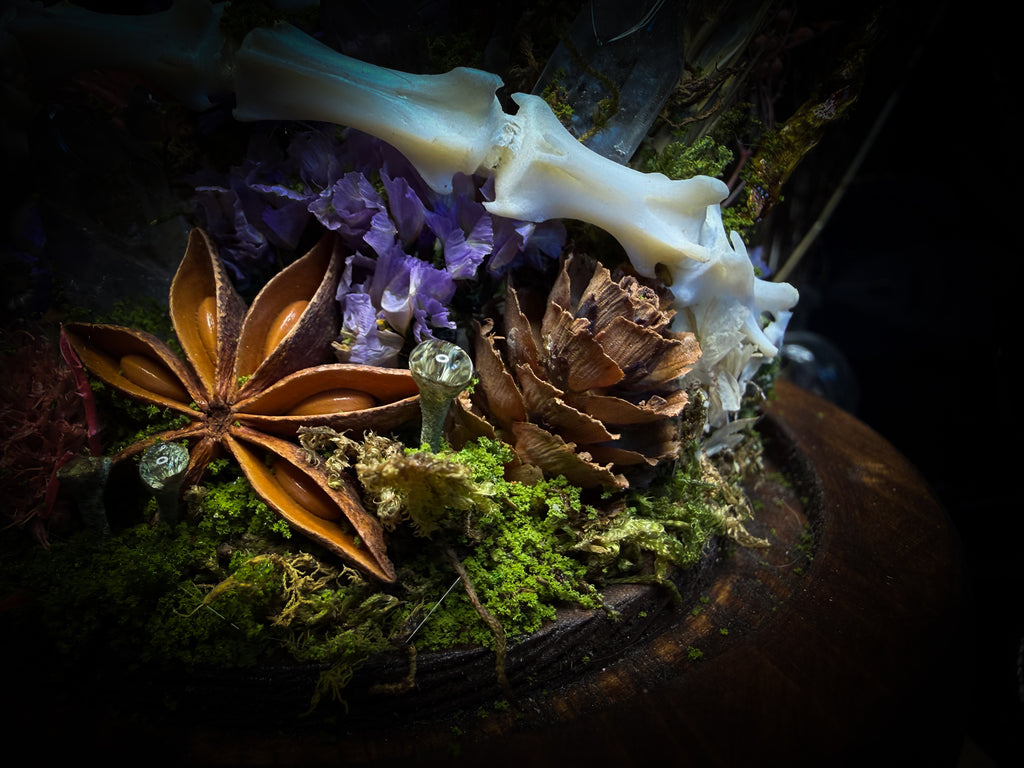 Handmade woodland shadowbox — kitten skull with pink quartz in glass dome, moss, dried flowers and crystals, fairytale gothic decor, 18x16cm