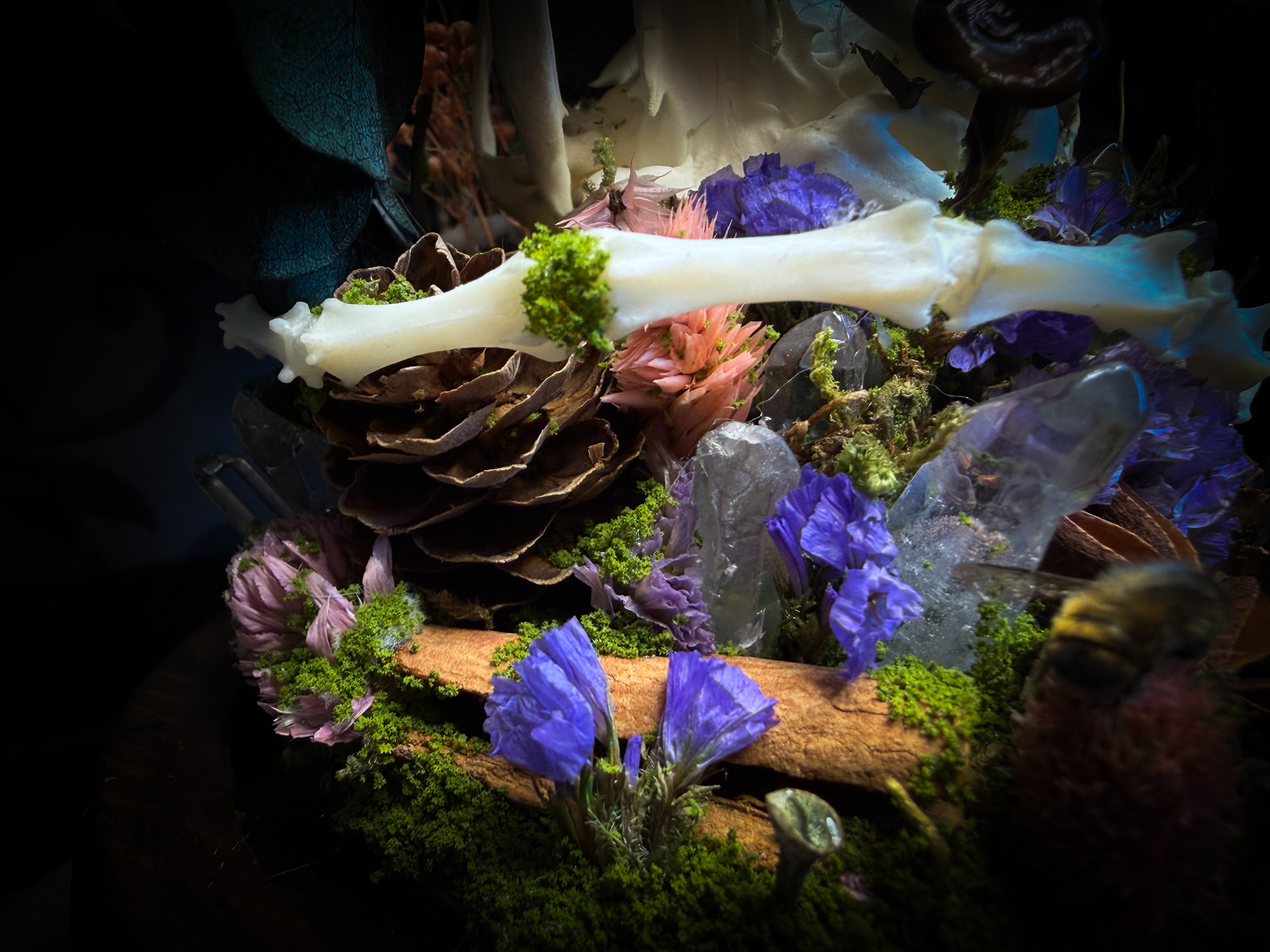 Handmade woodland shadowbox — kitten skull with pink quartz in glass dome, moss, dried flowers and crystals, fairytale gothic decor, 18x16cm