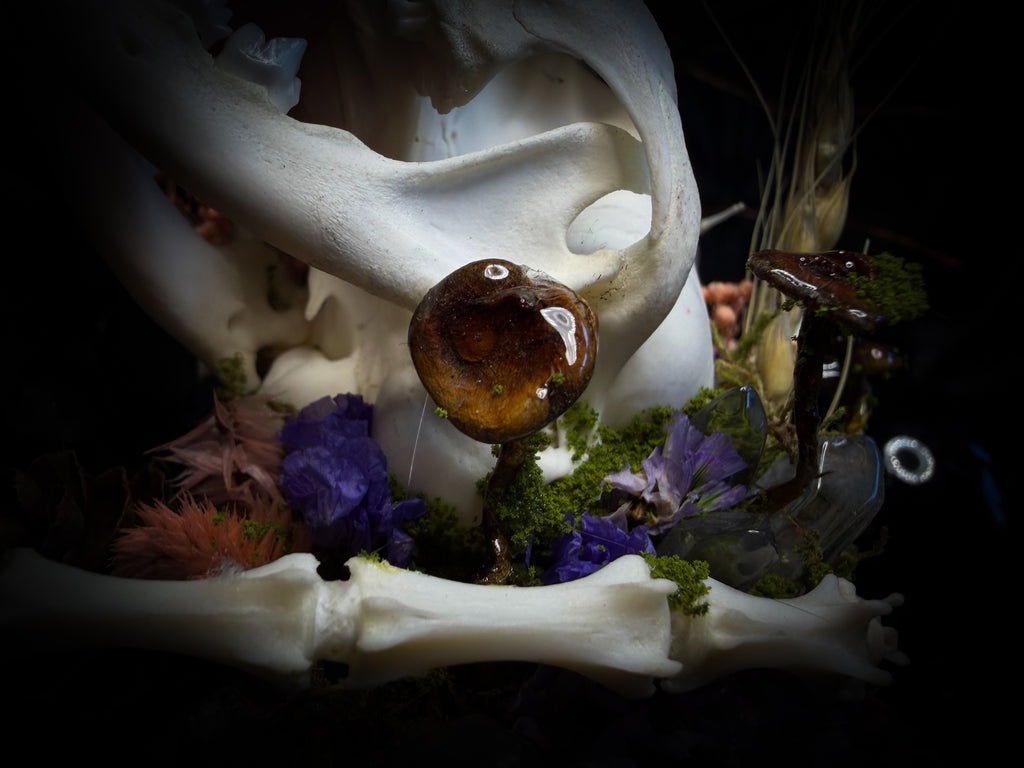 Handmade woodland shadowbox — kitten skull with pink quartz in glass dome, moss, dried flowers and crystals, fairytale gothic decor, 18x16cm