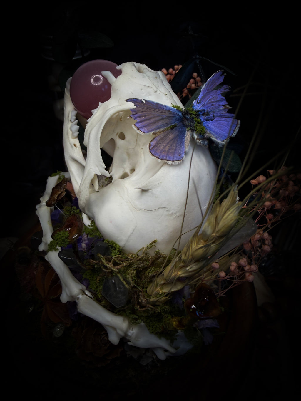 Handmade woodland shadowbox — kitten skull with pink quartz in glass dome, moss, dried flowers and crystals, fairytale gothic decor, 18x16cm