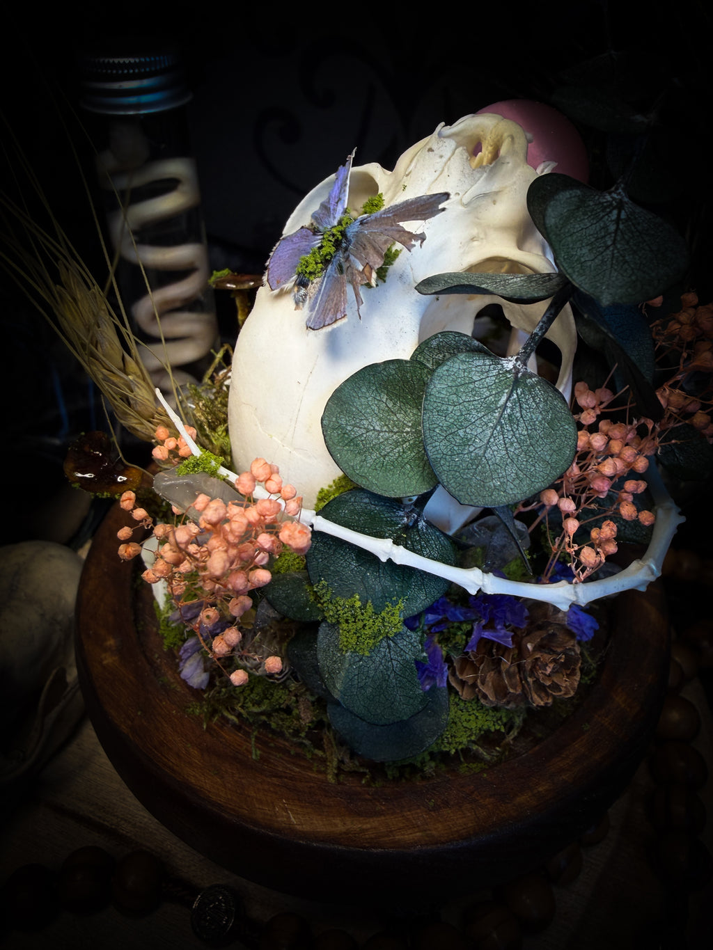 Handmade woodland shadowbox — kitten skull with pink quartz in glass dome, moss, dried flowers and crystals, fairytale gothic decor, 18x16cm