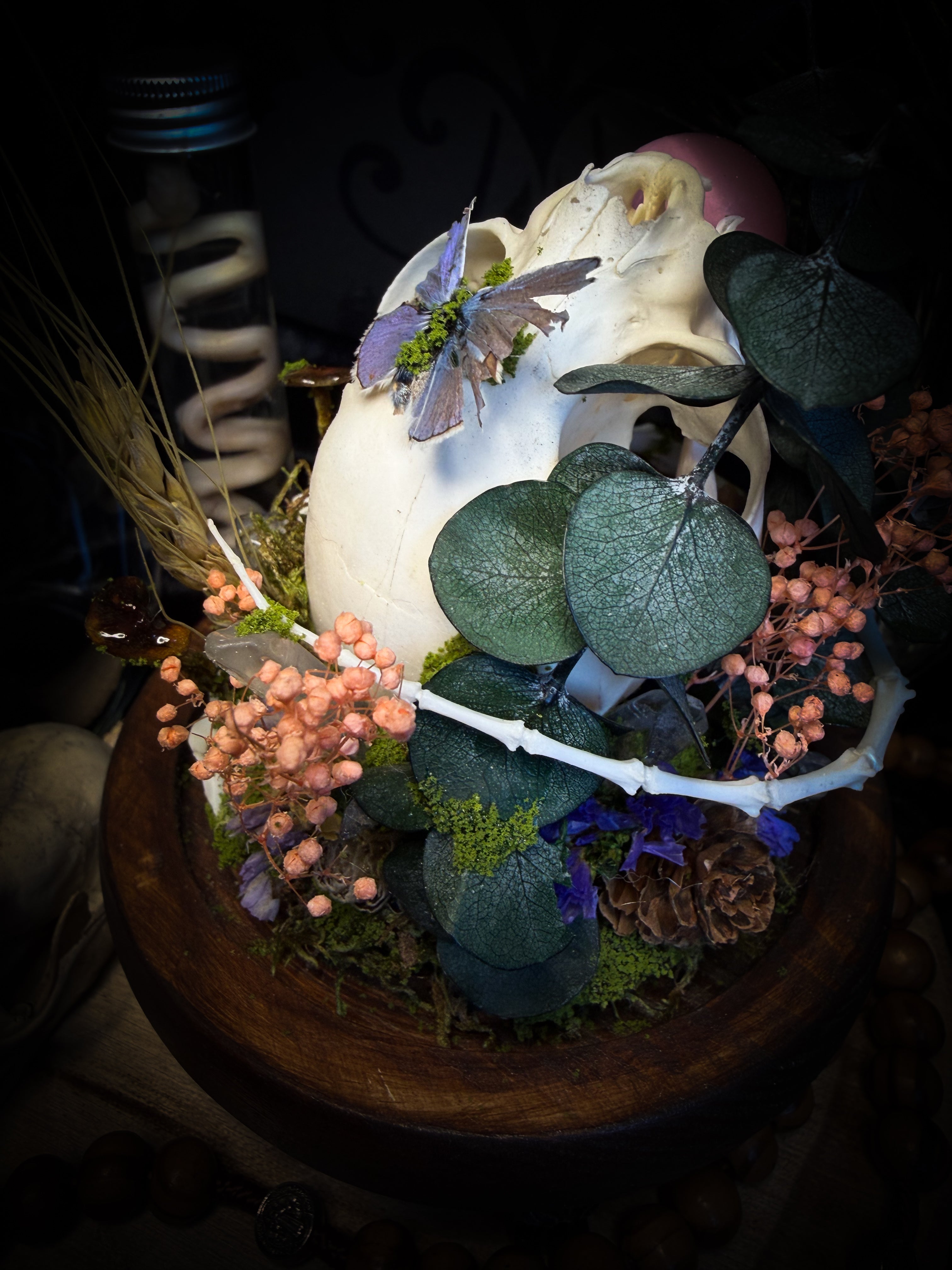 Handmade woodland shadowbox — kitten skull with pink quartz in glass dome, moss, dried flowers and crystals, fairytale gothic decor, 18x16cm