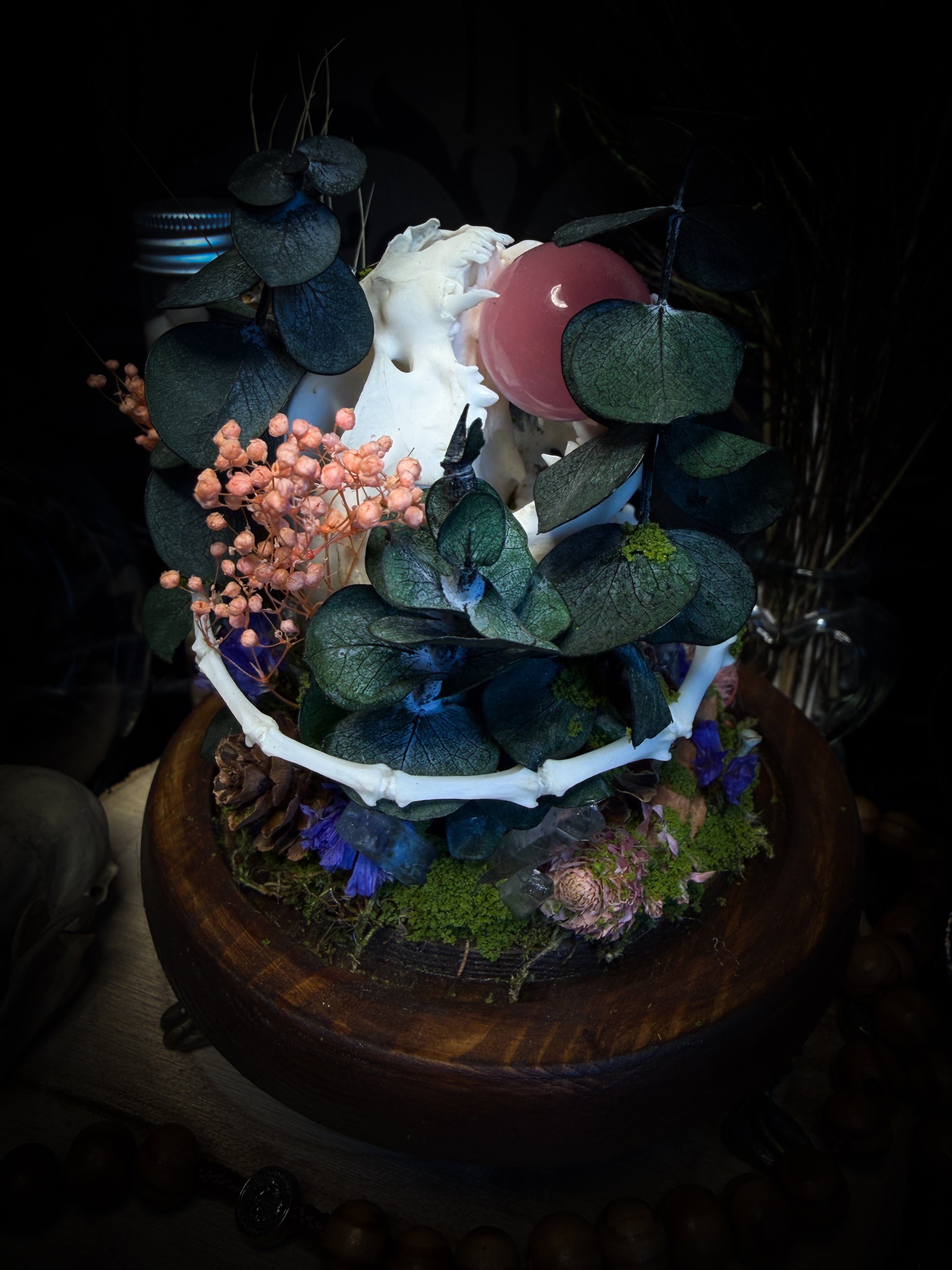 Handmade woodland shadowbox — kitten skull with pink quartz in glass dome, moss, dried flowers and crystals, fairytale gothic decor, 18x16cm
