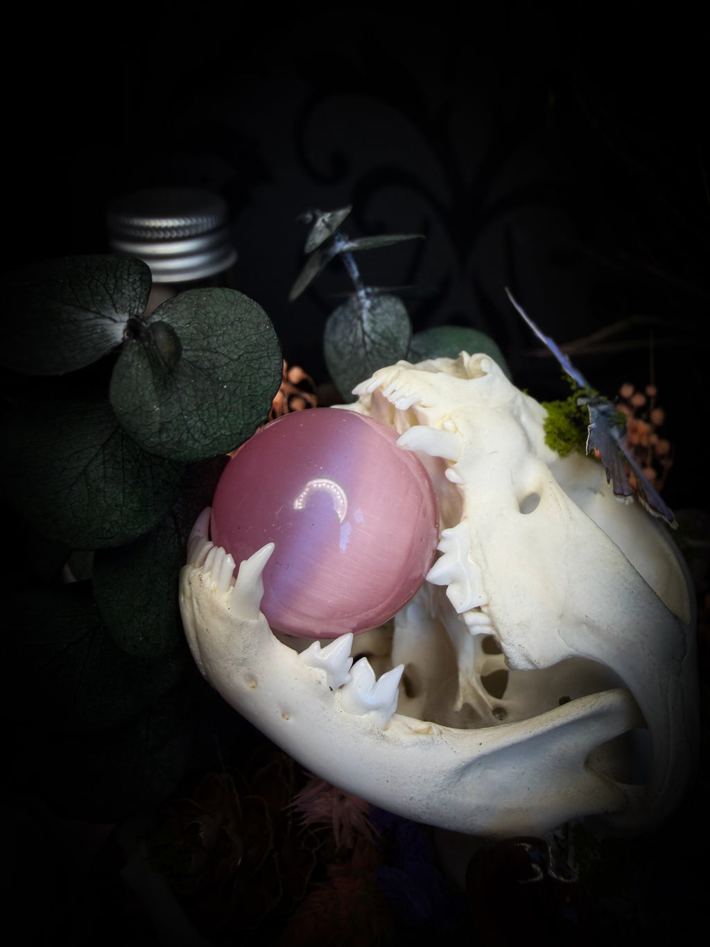 Handmade woodland shadowbox — kitten skull with pink quartz in glass dome, moss, dried flowers and crystals, fairytale gothic decor, 18x16cm