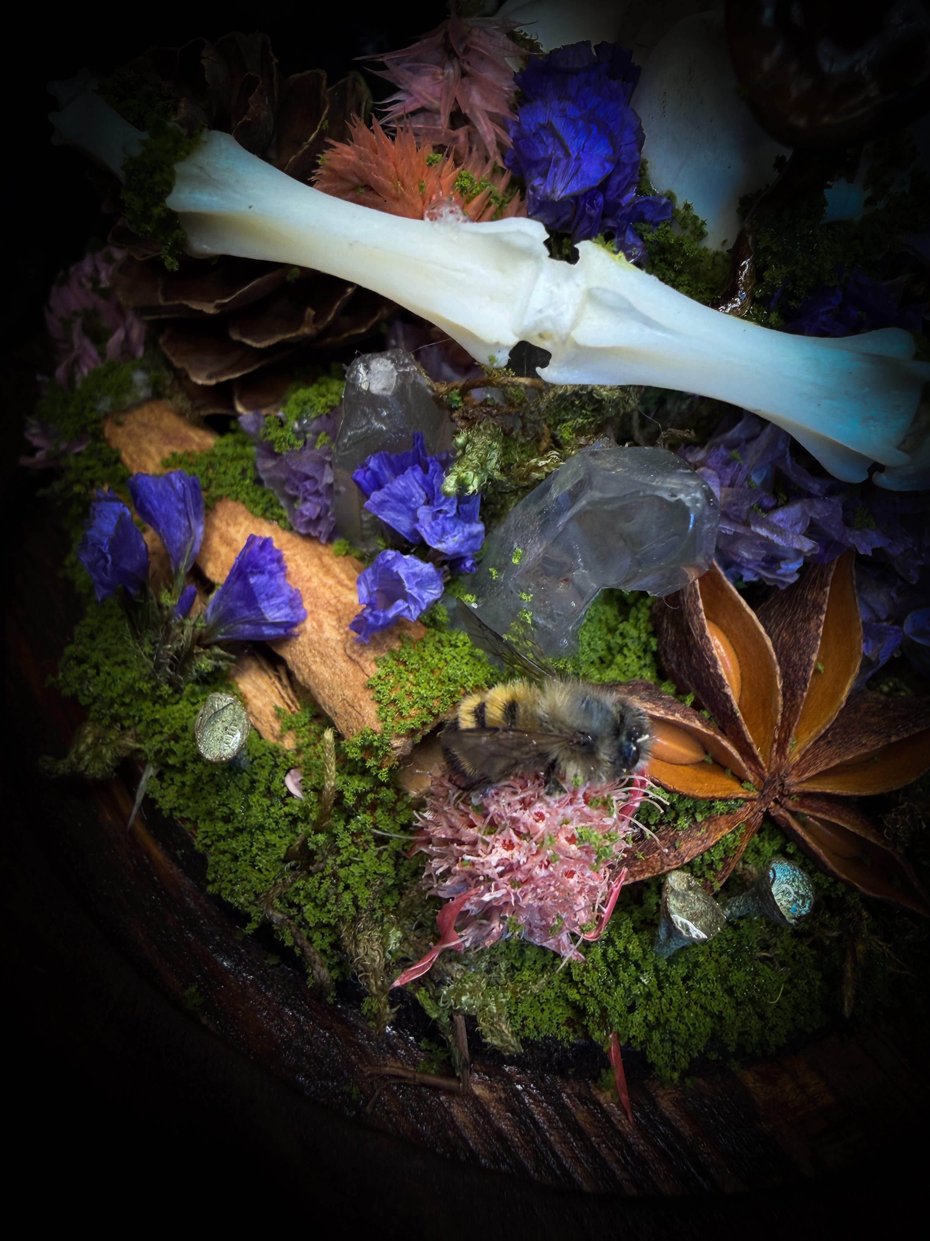 Handmade woodland shadowbox — kitten skull with pink quartz in glass dome, moss, dried flowers and crystals, fairytale gothic decor, 18x16cm