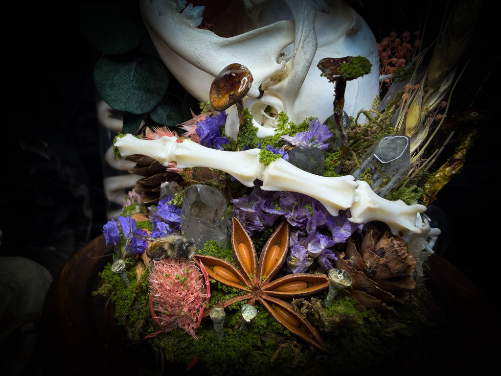 Handmade woodland shadowbox — kitten skull with pink quartz in glass dome, moss, dried flowers and crystals, fairytale gothic decor, 18x16cm