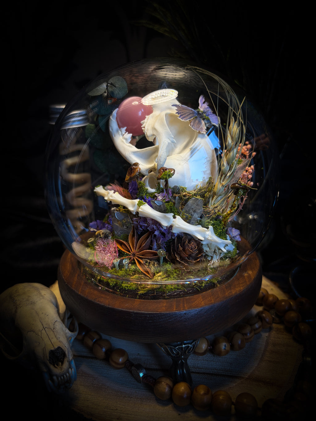 Handmade woodland shadowbox — kitten skull with pink quartz in glass dome, moss, dried flowers and crystals, fairytale gothic decor, 18x16cm