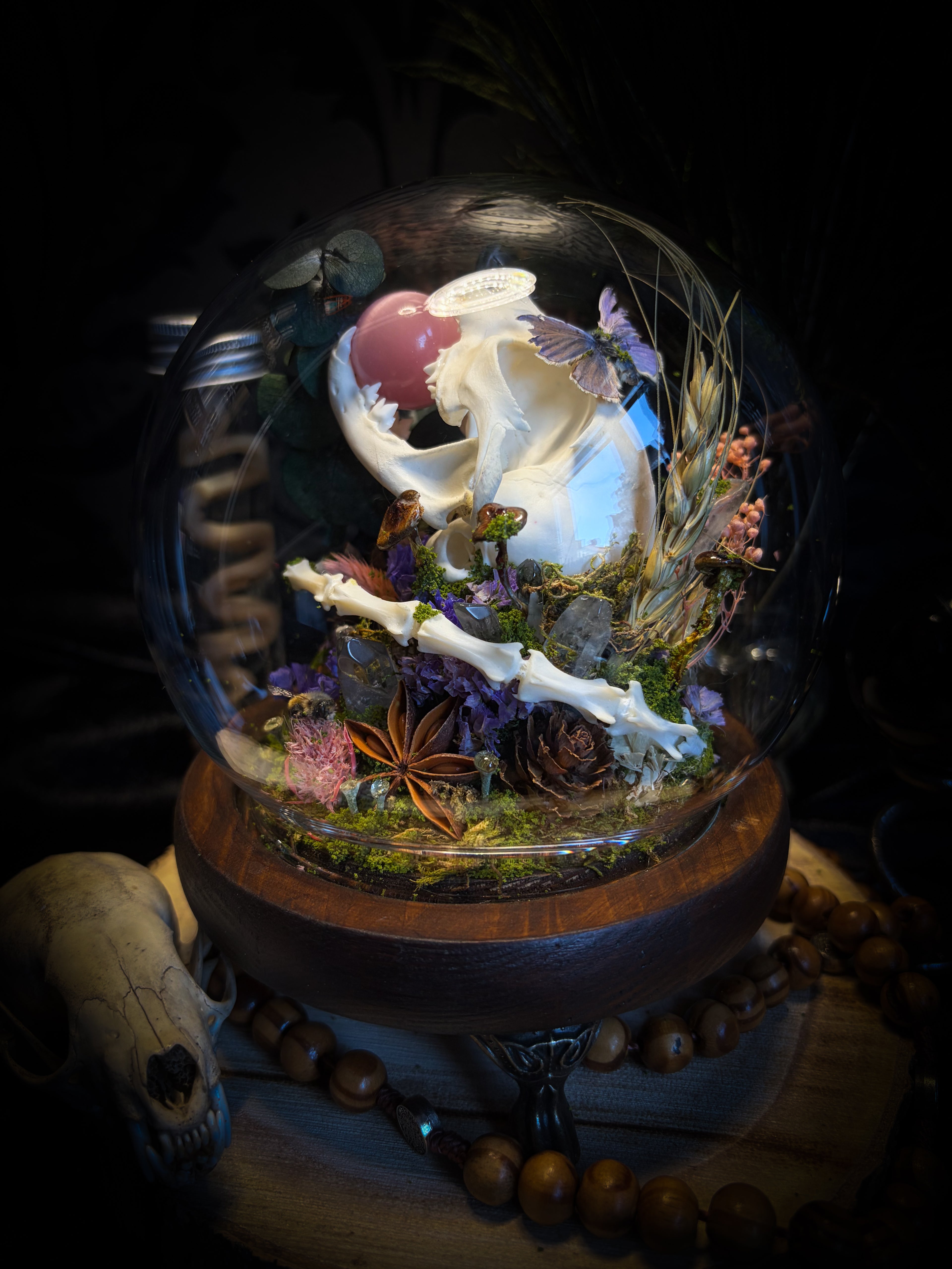 Handmade woodland shadowbox — kitten skull with pink quartz in glass dome, moss, dried flowers and crystals, fairytale gothic decor, 18x16cm