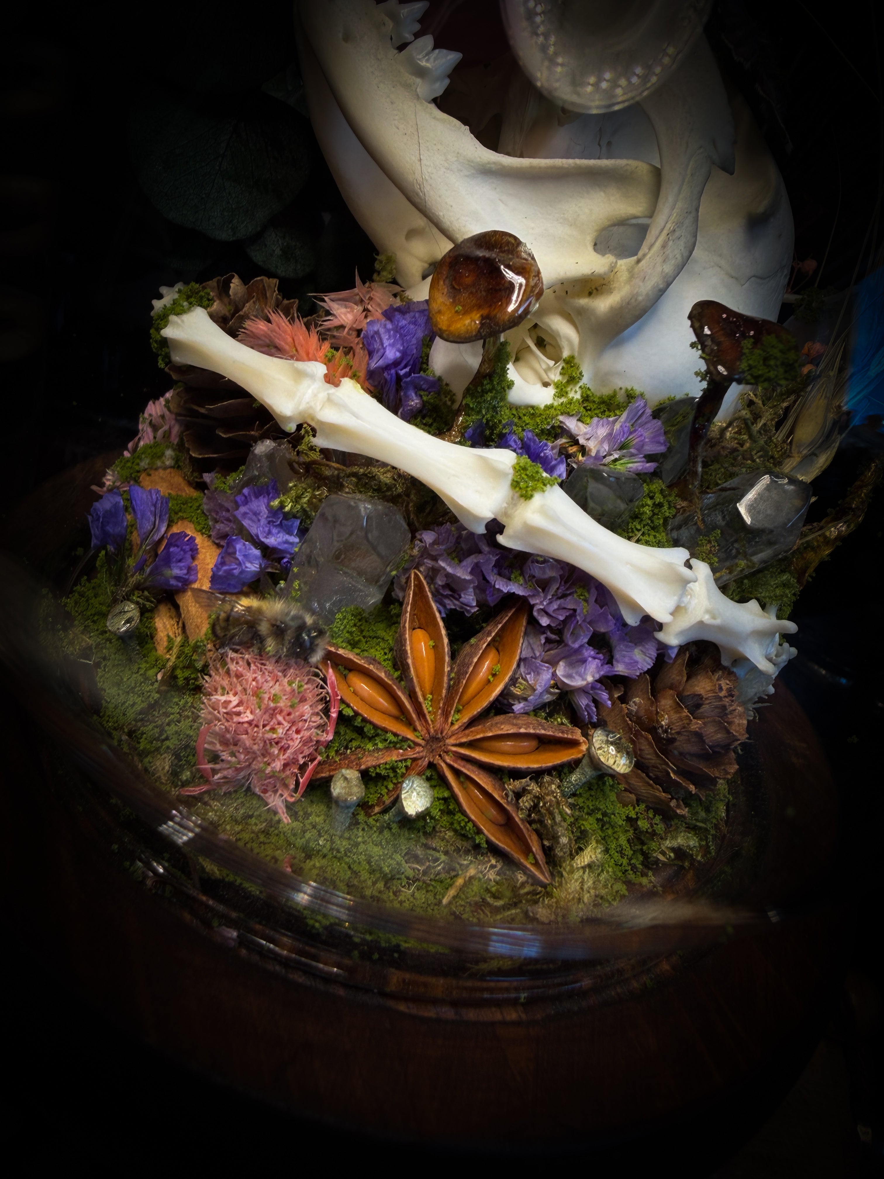Handmade woodland shadowbox — kitten skull with pink quartz in glass dome, moss, dried flowers and crystals, fairytale gothic decor, 18x16cm