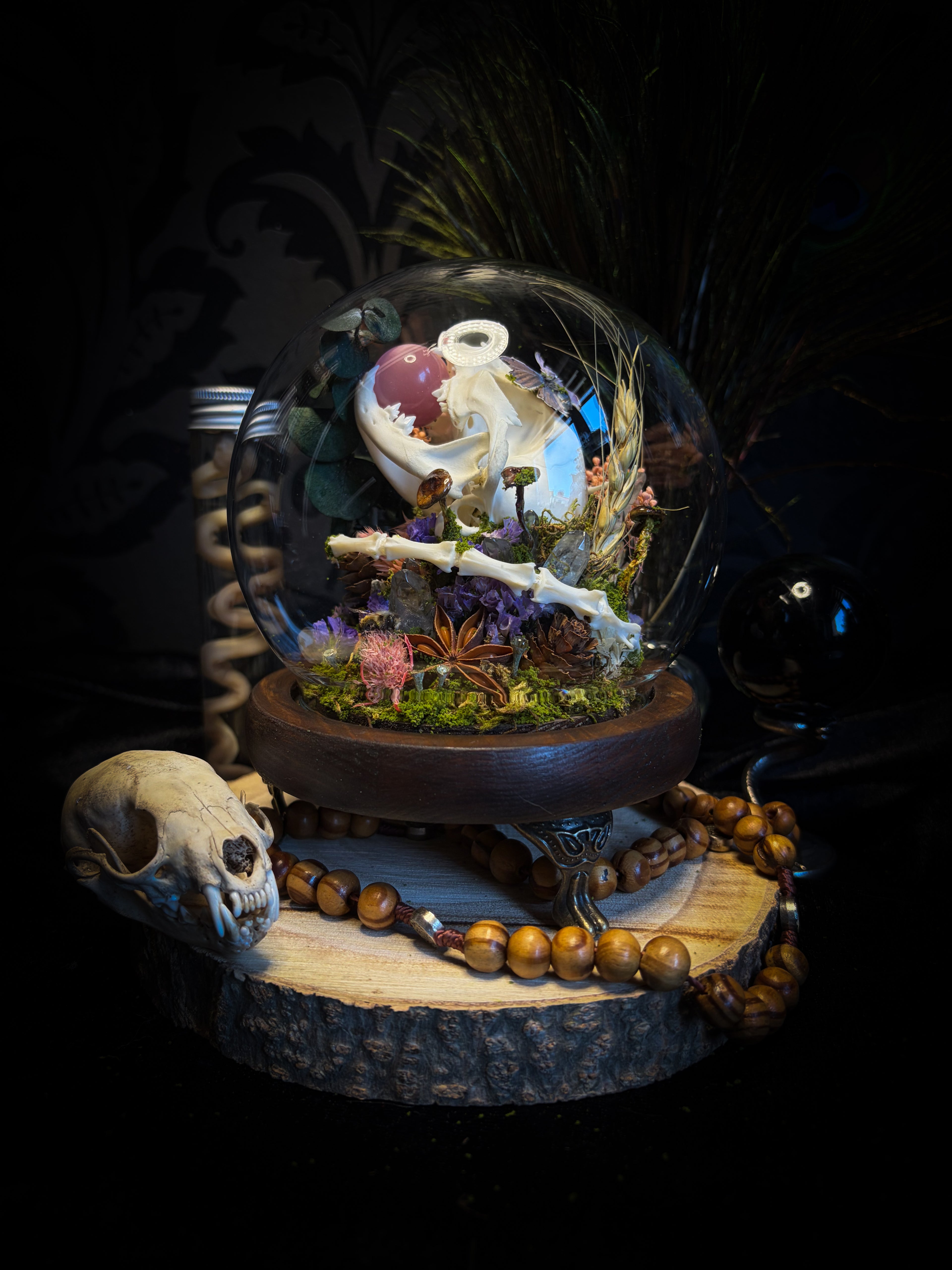 Handmade woodland shadowbox — kitten skull with pink quartz in glass dome, moss, dried flowers and crystals, fairytale gothic decor, 18x16cm