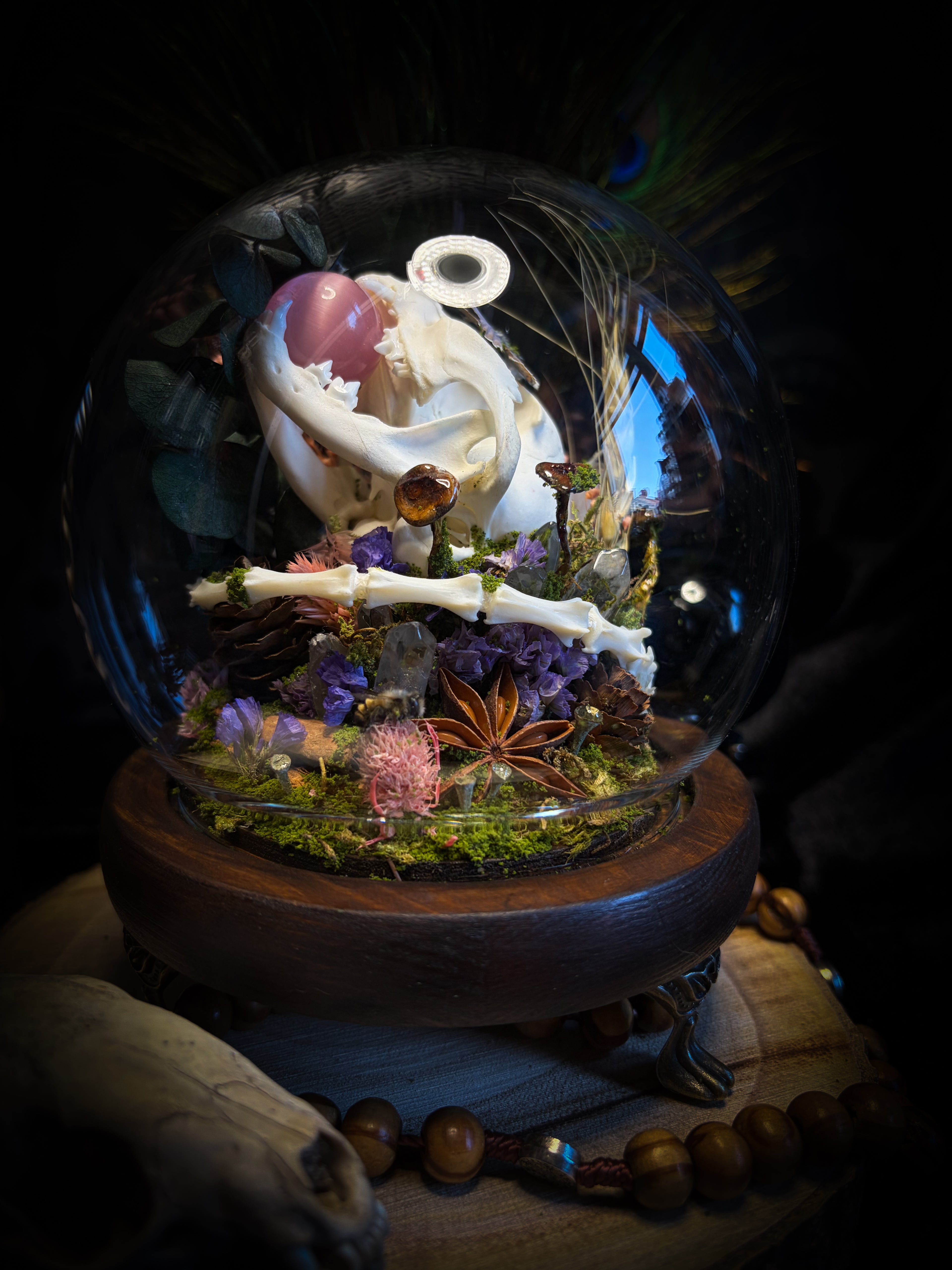 Handmade woodland shadowbox — kitten skull with pink quartz in glass dome, moss, dried flowers and crystals, fairytale gothic decor, 18x16cm