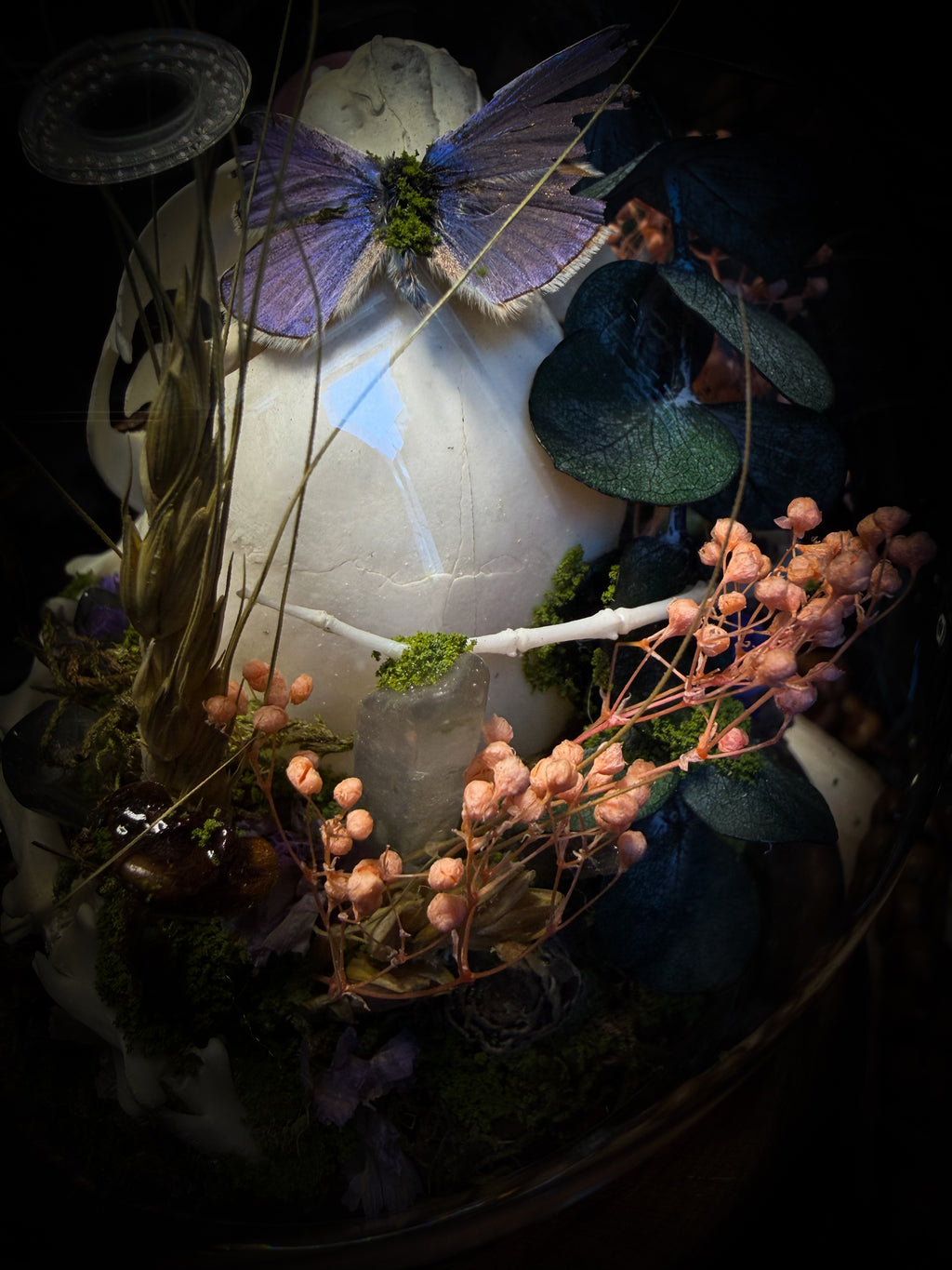 Handmade woodland shadowbox — kitten skull with pink quartz in glass dome, moss, dried flowers and crystals, fairytale gothic decor, 18x16cm