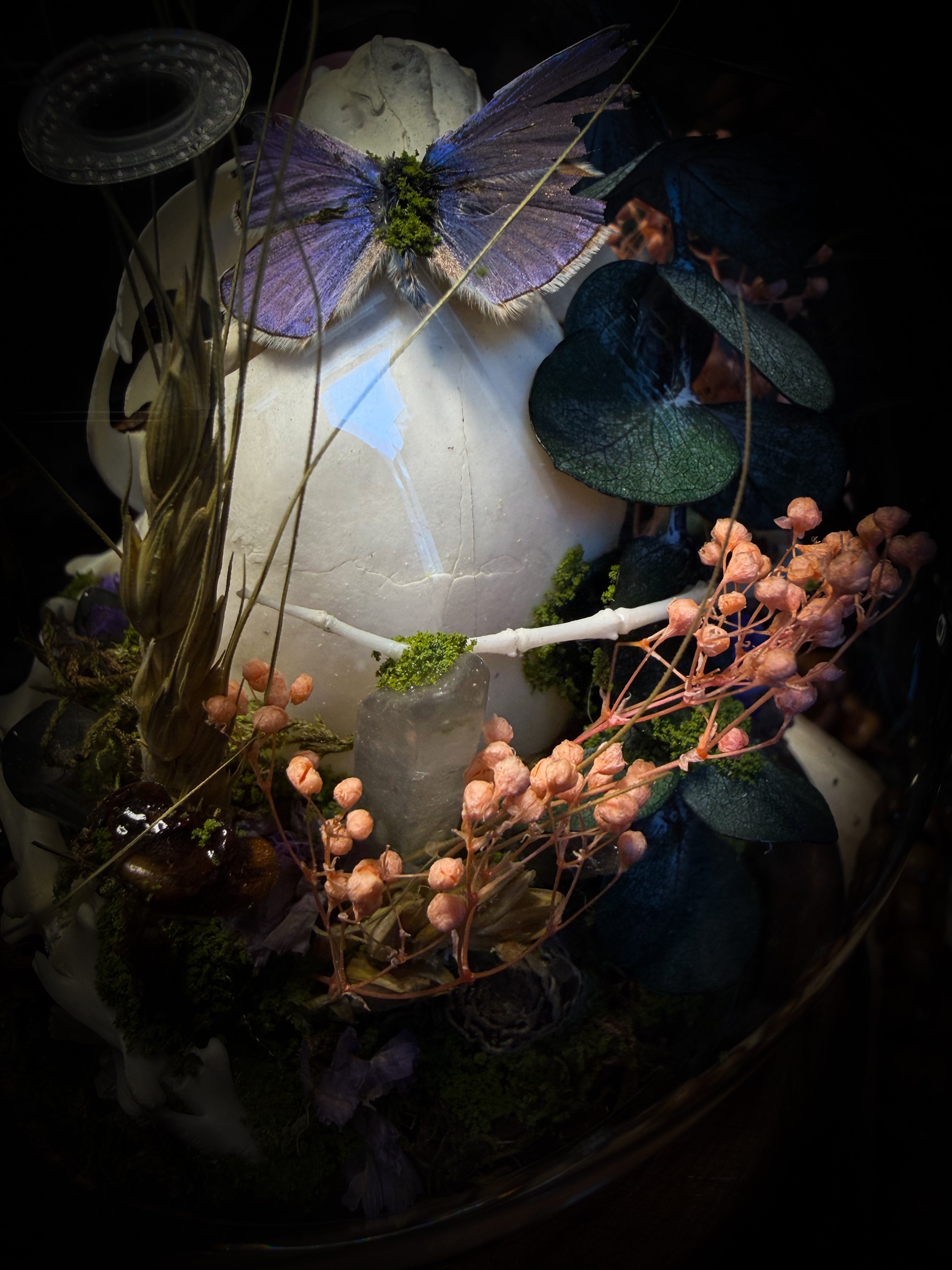 Handmade woodland shadowbox — kitten skull with pink quartz in glass dome, moss, dried flowers and crystals, fairytale gothic decor, 18x16cm