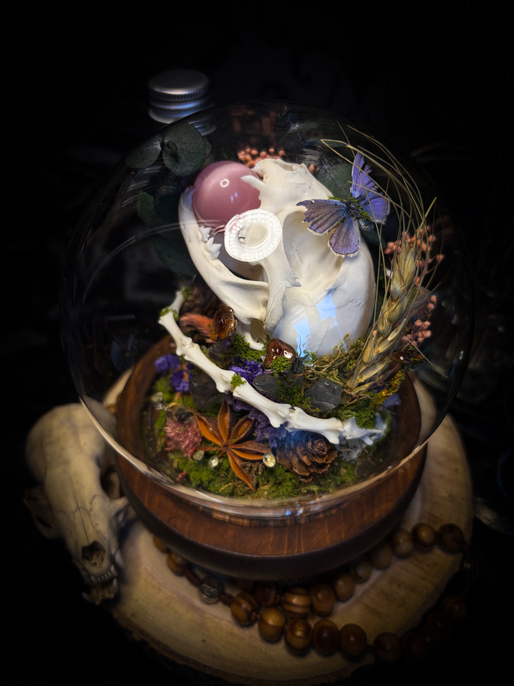 Handmade woodland shadowbox — kitten skull with pink quartz in glass dome, moss, dried flowers and crystals, fairytale gothic decor, 18x16cm