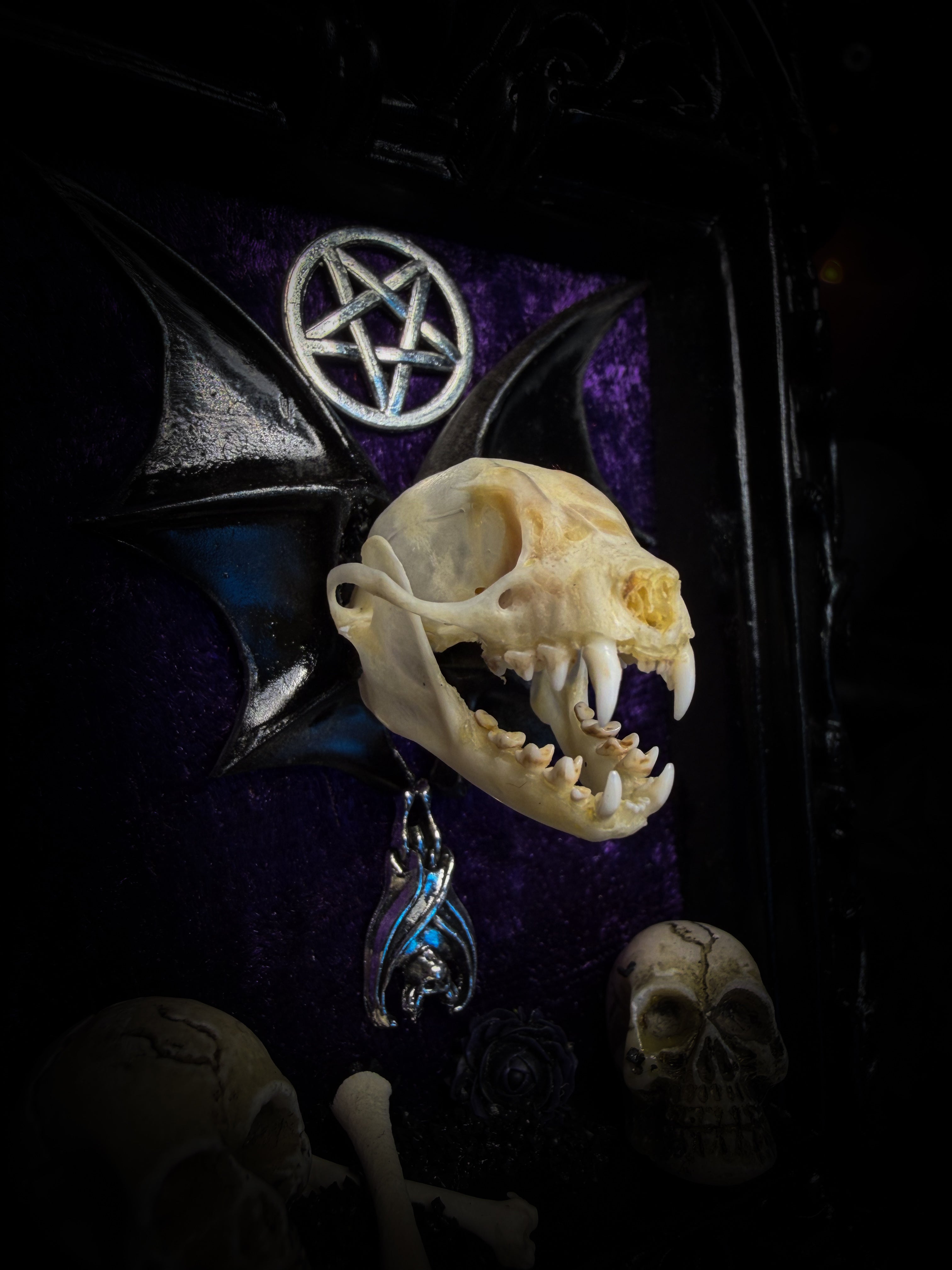 Violet Hex — handmade gothic wall relic, ready to ship. Real bat skull with hand-cast wings on violet crushed velvet in black and gold frame with sculpted bat, ornamental skulls, wax rose and pentagram details. One-of-a-kind dark decor, 16x11cm.
