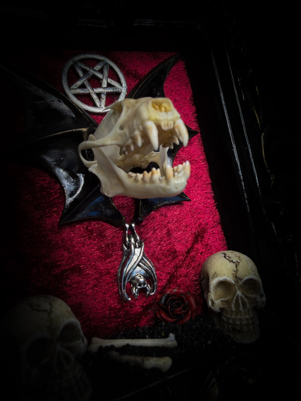 Crimson Ritual — handmade gothic wall relic, ready to ship. Real bat skull with hand-cast wings on crimson crushed velvet in black and gold frame with sculpted bat, ornamental skulls, wax rose and pentagram details. One-of-a-kind dark decor, 16x11cm.