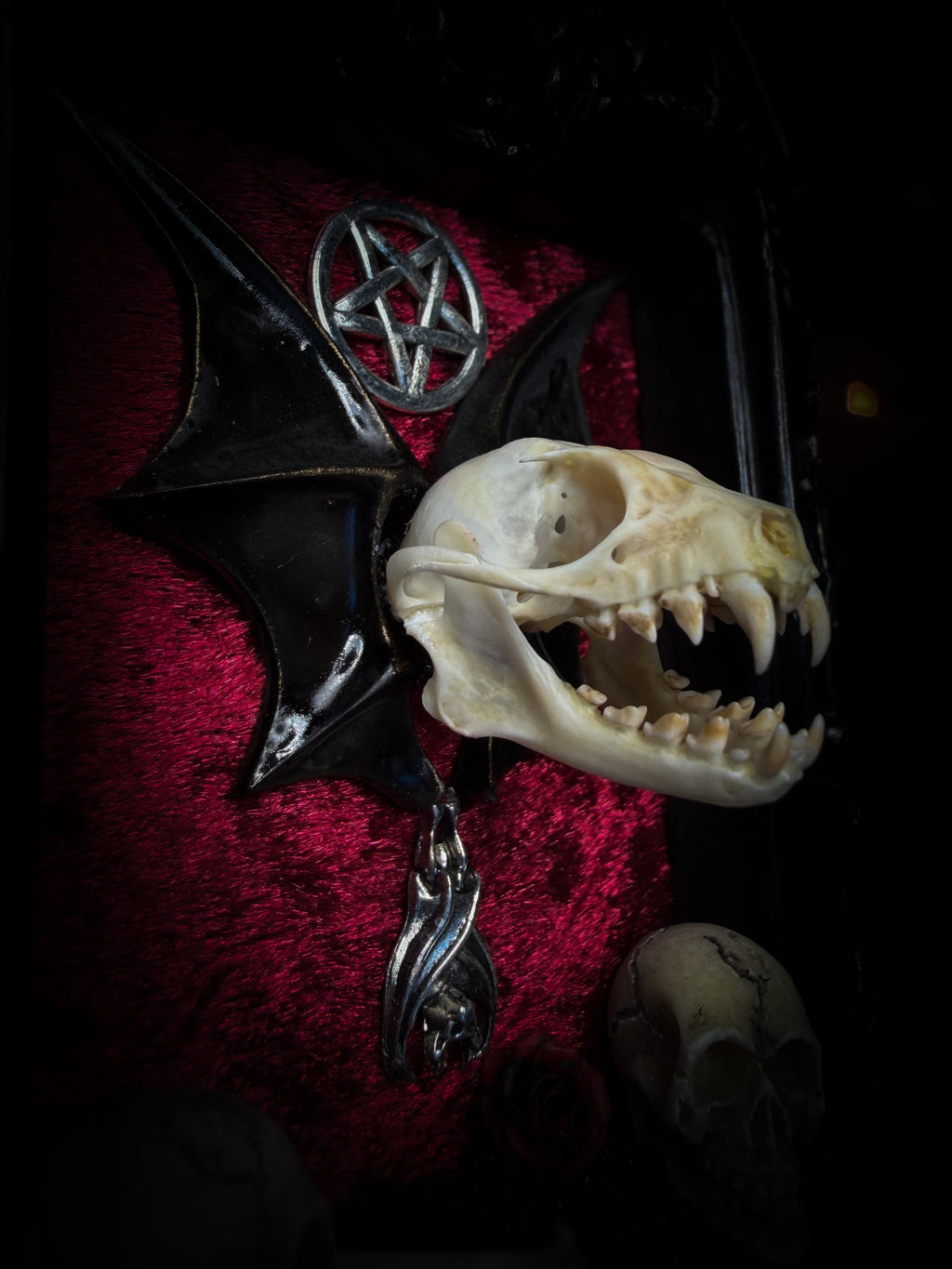 Crimson Ritual — handmade gothic wall relic, ready to ship. Real bat skull with hand-cast wings on crimson crushed velvet in black and gold frame with sculpted bat, ornamental skulls, wax rose and pentagram details. One-of-a-kind dark decor, 16x11cm.