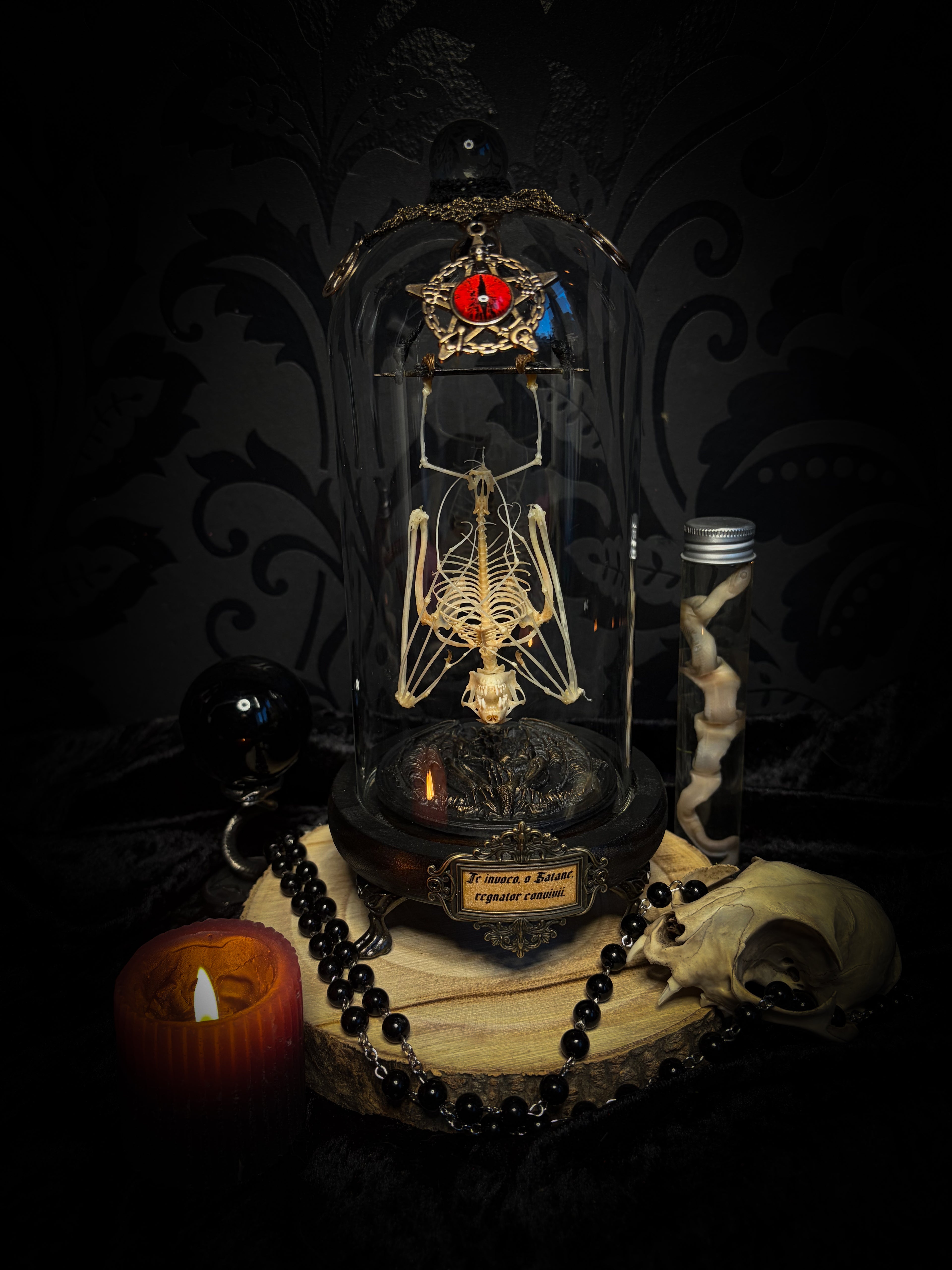 Fangtasia — handmade gothic glass dome display, ready to ship. Suspended bat skeleton under glass cloche with ornate sigil pendant, red glass eye and Latin inscription plaque, aged finish. One-of-a-kind occult decor, 12x24cm.