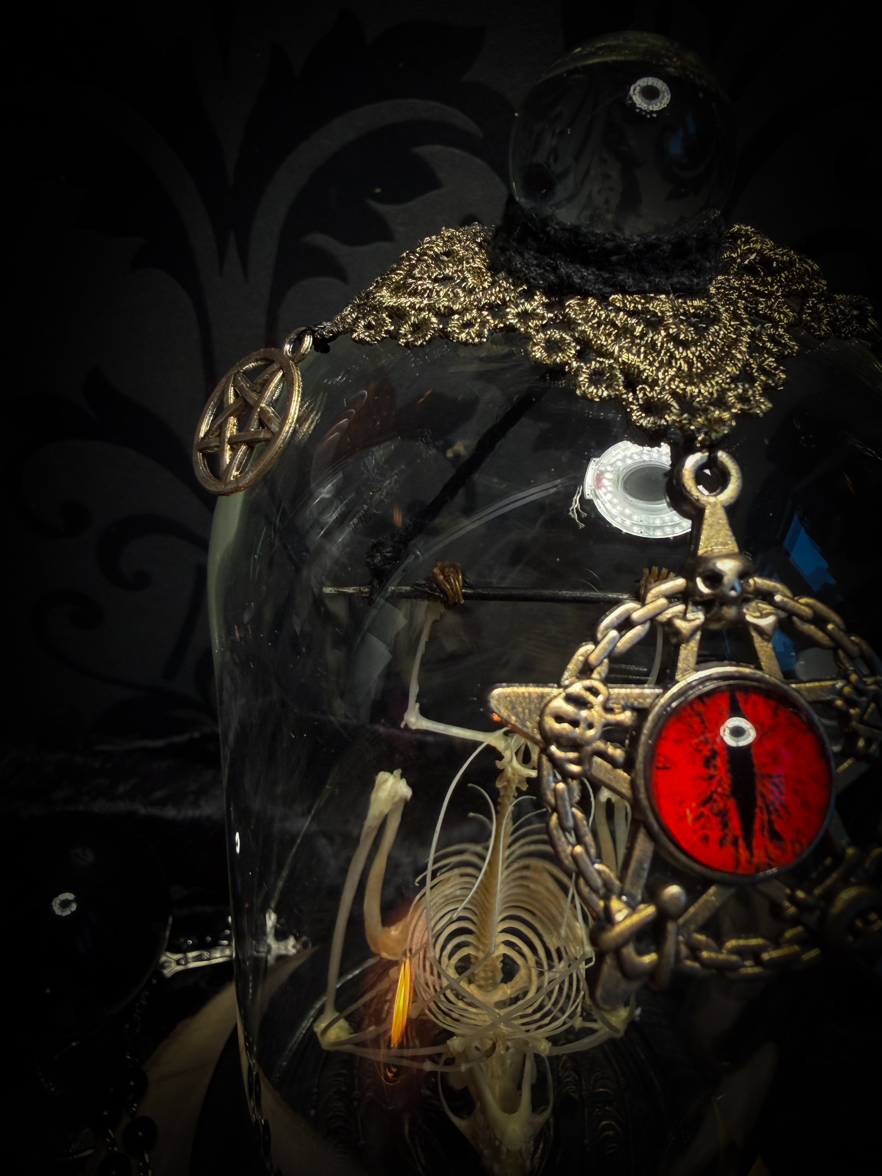 Fangtasia — handmade gothic glass dome display, ready to ship. Suspended bat skeleton under glass cloche with ornate sigil pendant, red glass eye and Latin inscription plaque, aged finish. One-of-a-kind occult decor, 12x24cm.