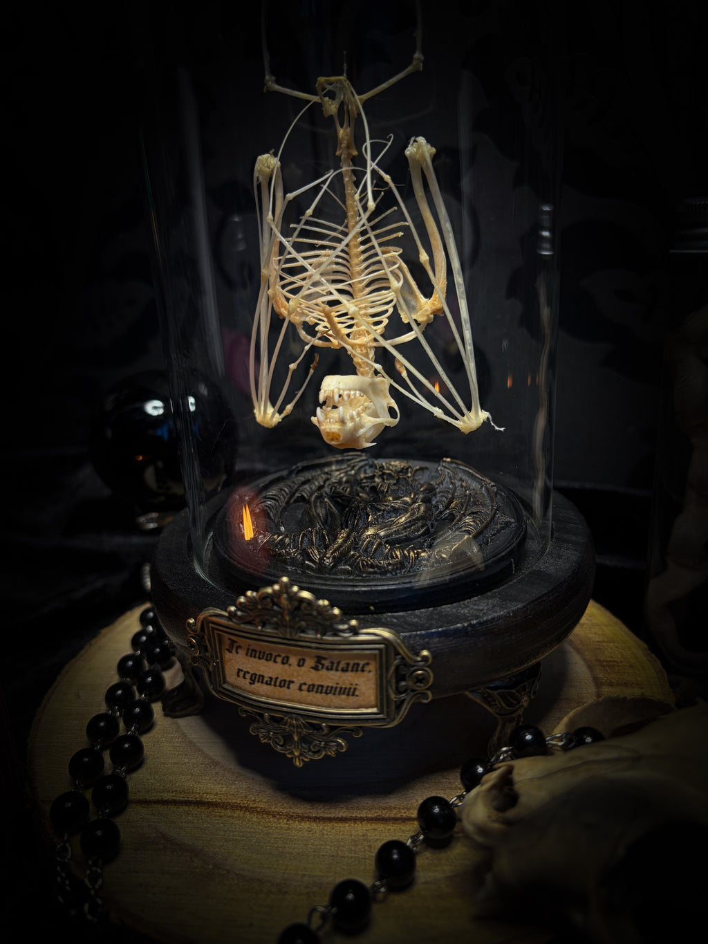 Fangtasia — handmade gothic glass dome display, ready to ship. Suspended bat skeleton under glass cloche with ornate sigil pendant, red glass eye and Latin inscription plaque, aged finish. One-of-a-kind occult decor, 12x24cm.