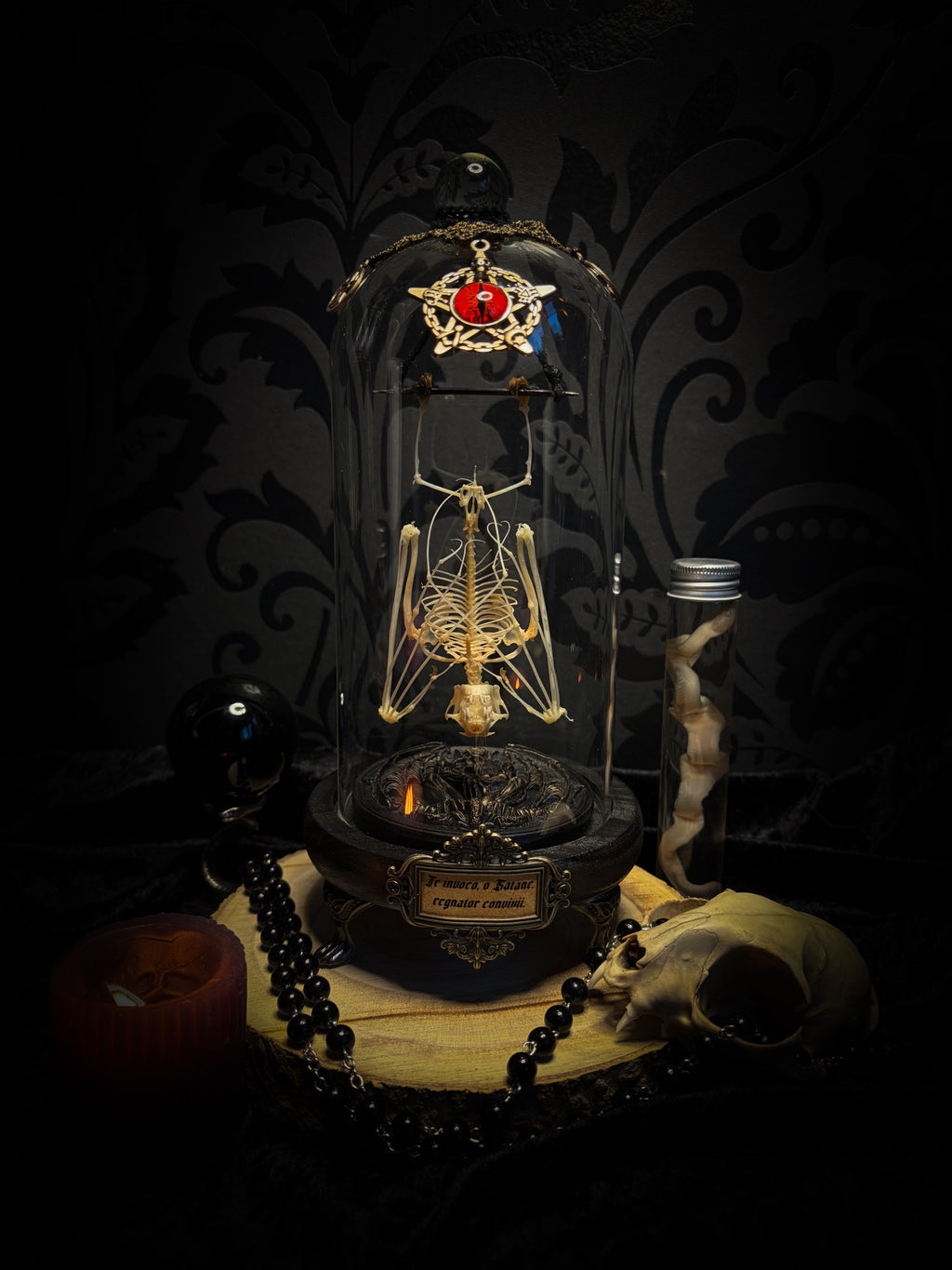 Fangtasia — handmade gothic glass dome display, ready to ship. Suspended bat skeleton under glass cloche with ornate sigil pendant, red glass eye and Latin inscription plaque, aged finish. One-of-a-kind occult decor, 12x24cm.