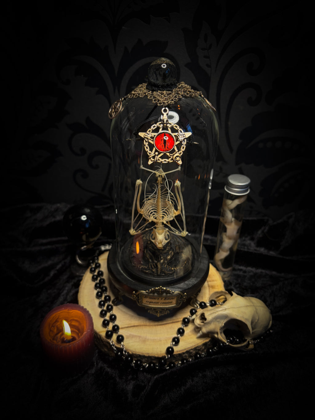 Fangtasia — handmade gothic glass dome display, ready to ship. Suspended bat skeleton under glass cloche with ornate sigil pendant, red glass eye and Latin inscription plaque, aged finish. One-of-a-kind occult decor, 12x24cm.