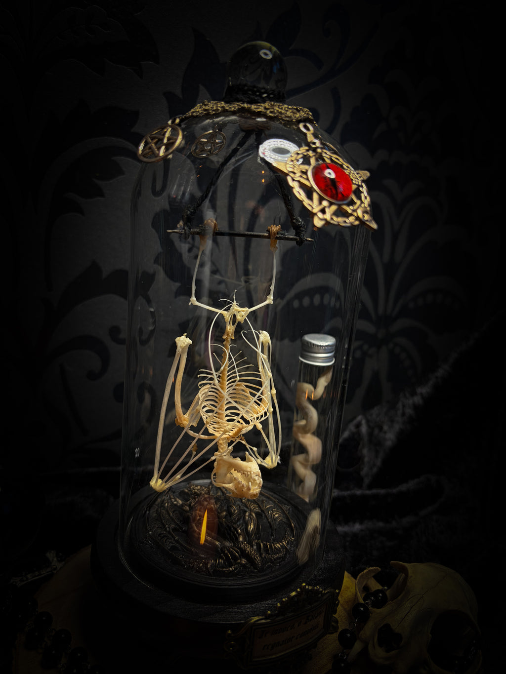 Fangtasia — handmade gothic glass dome display, ready to ship. Suspended bat skeleton under glass cloche with ornate sigil pendant, red glass eye and Latin inscription plaque, aged finish. One-of-a-kind occult decor, 12x24cm.
