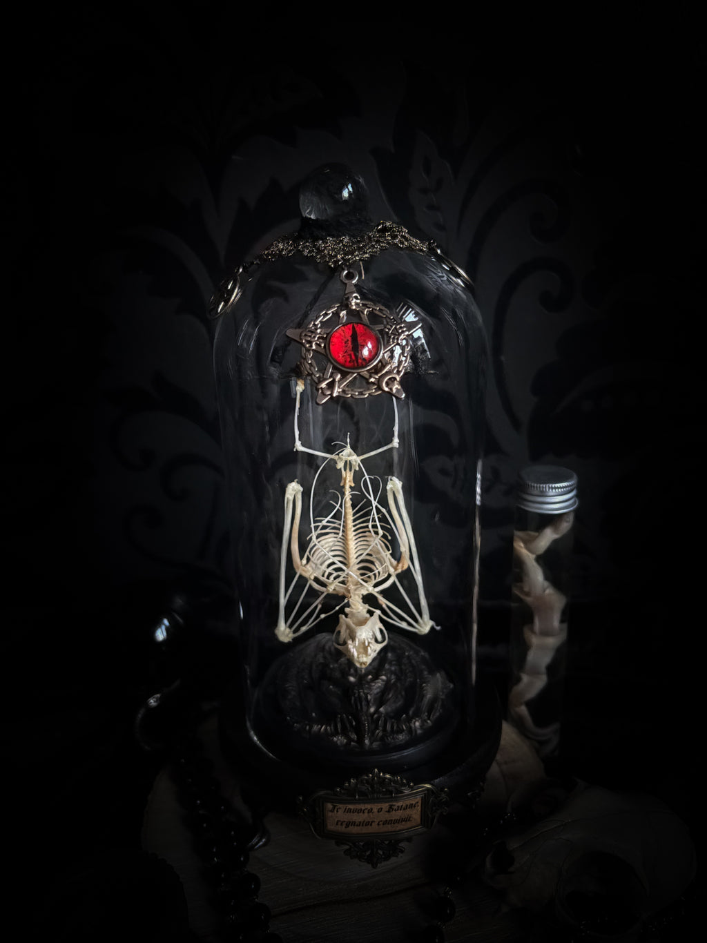 Fangtasia — handmade gothic glass dome display, ready to ship. Suspended bat skeleton under glass cloche with ornate sigil pendant, red glass eye and Latin inscription plaque, aged finish. One-of-a-kind occult decor, 12x24cm.