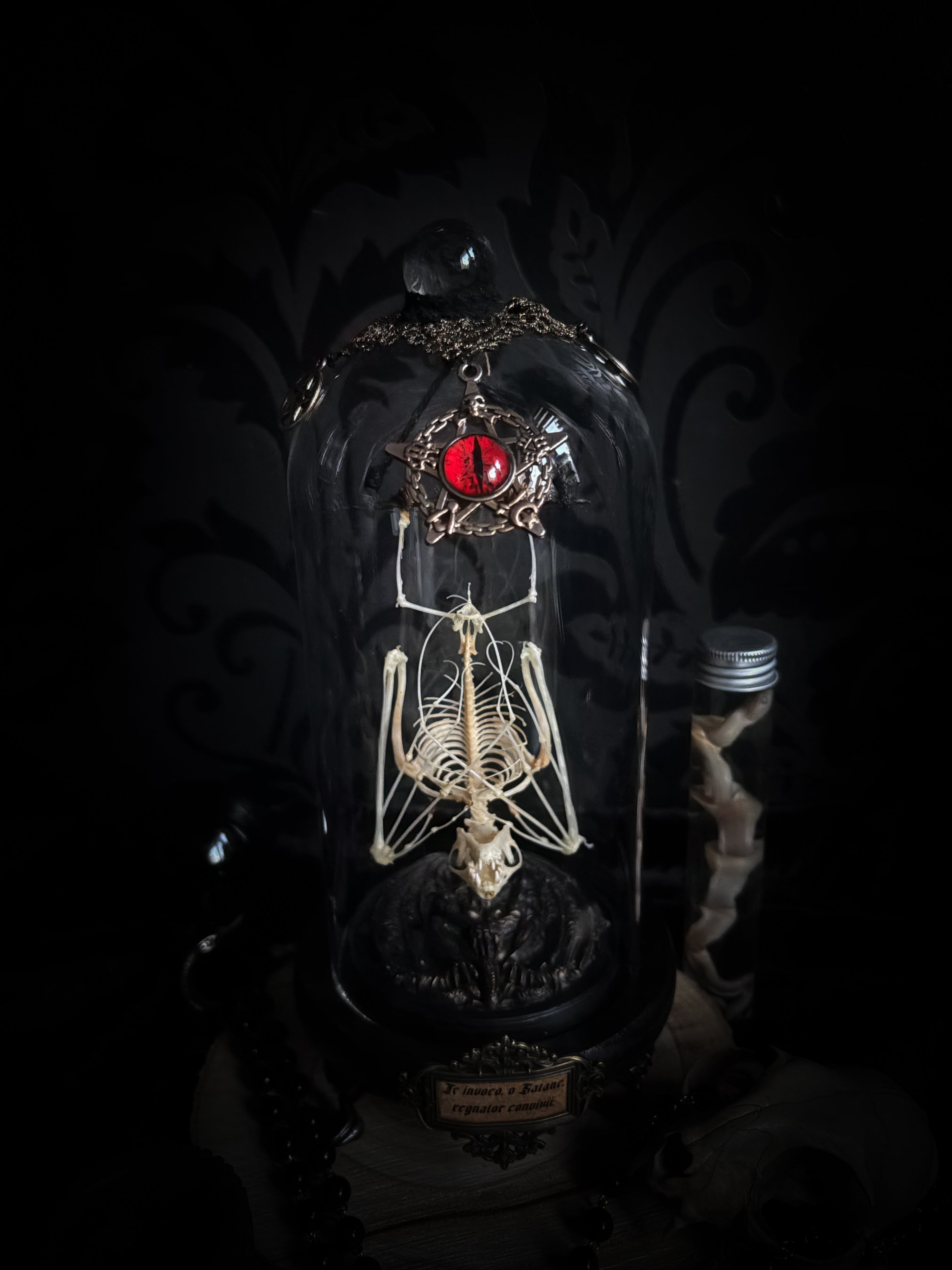 Fangtasia — handmade gothic glass dome display, ready to ship. Suspended bat skeleton under glass cloche with ornate sigil pendant, red glass eye and Latin inscription plaque, aged finish. One-of-a-kind occult decor, 12x24cm.