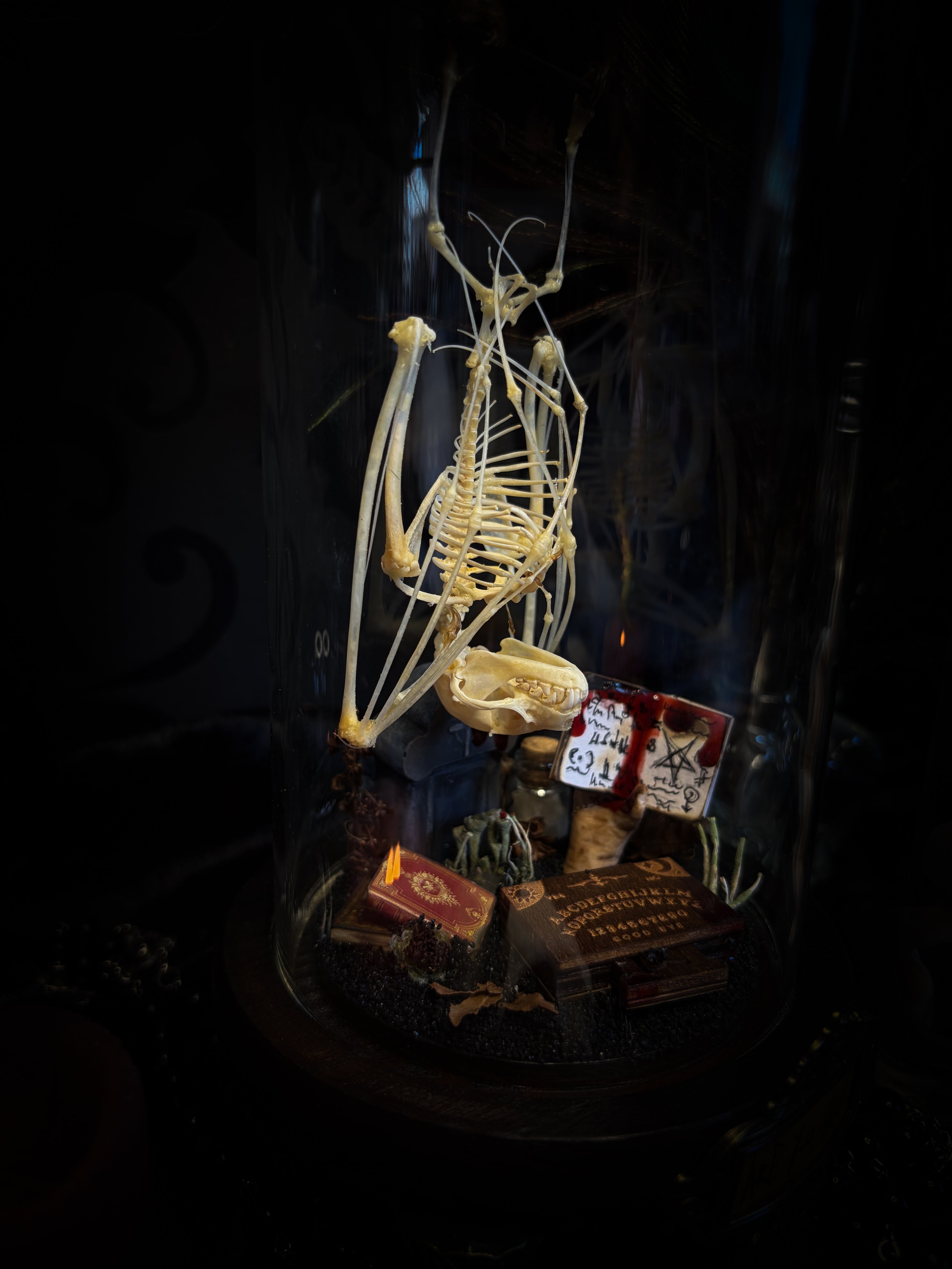Handmade gothic occult display — bat skeleton in glass dome with Leviathan sigil, cemetery vignette with ouija board and necromancer book, 12x24cm