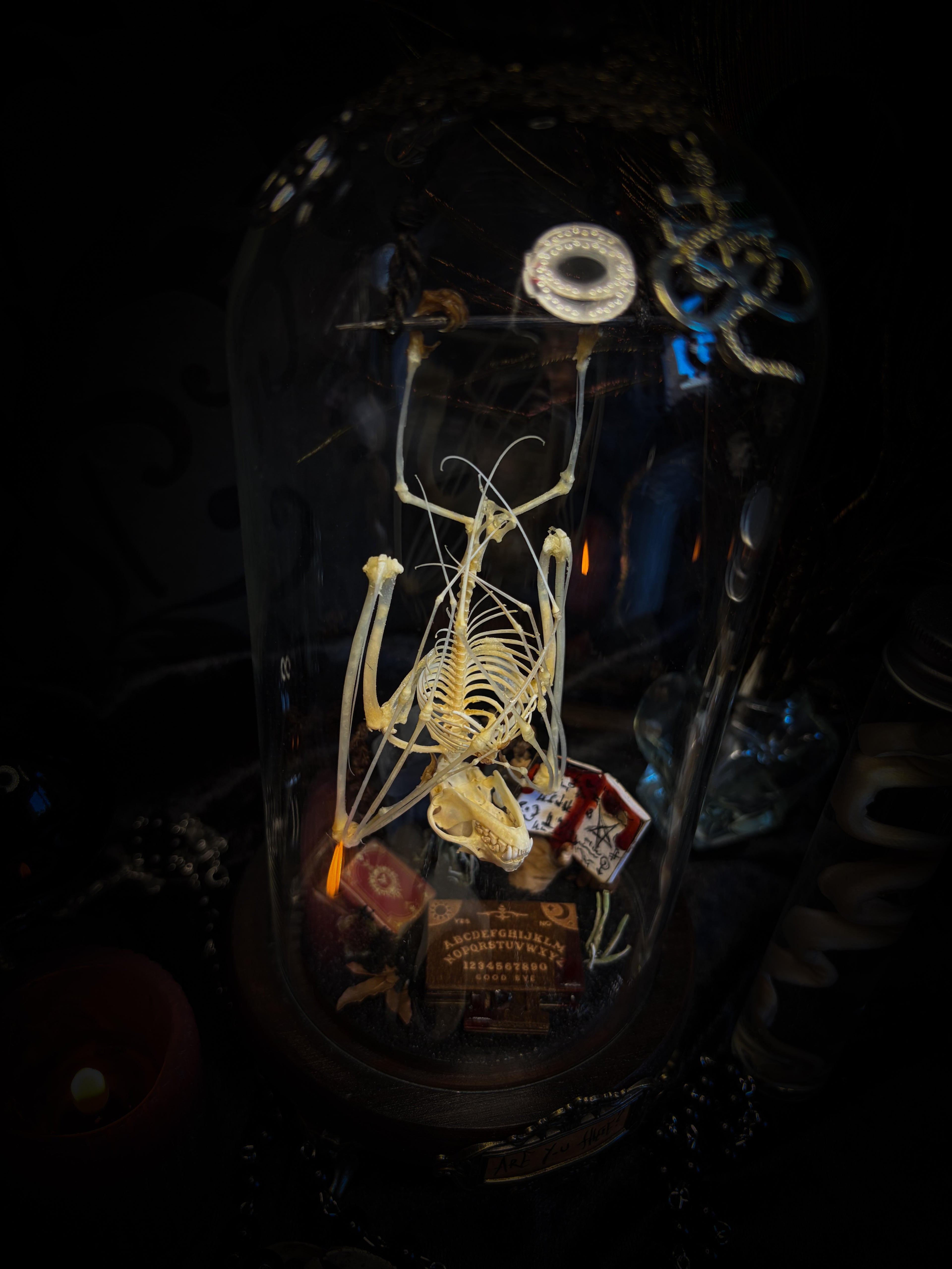Handmade gothic occult display — bat skeleton in glass dome with Leviathan sigil, cemetery vignette with ouija board and necromancer book, 12x24cm