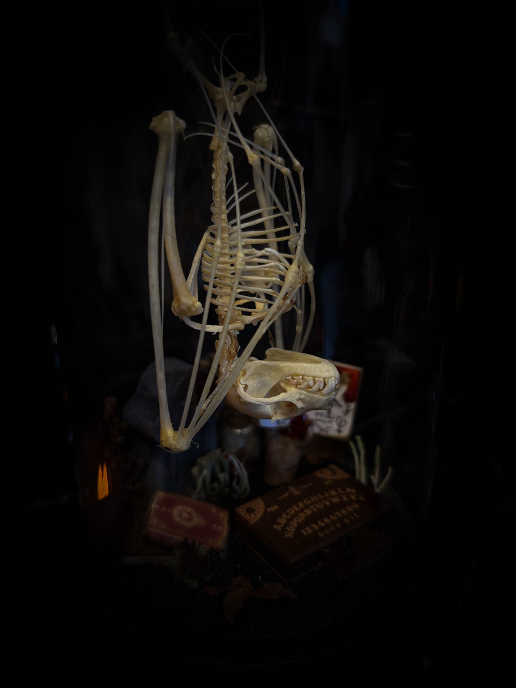 Handmade gothic occult display — bat skeleton in glass dome with Leviathan sigil, cemetery vignette with ouija board and necromancer book, 12x24cm