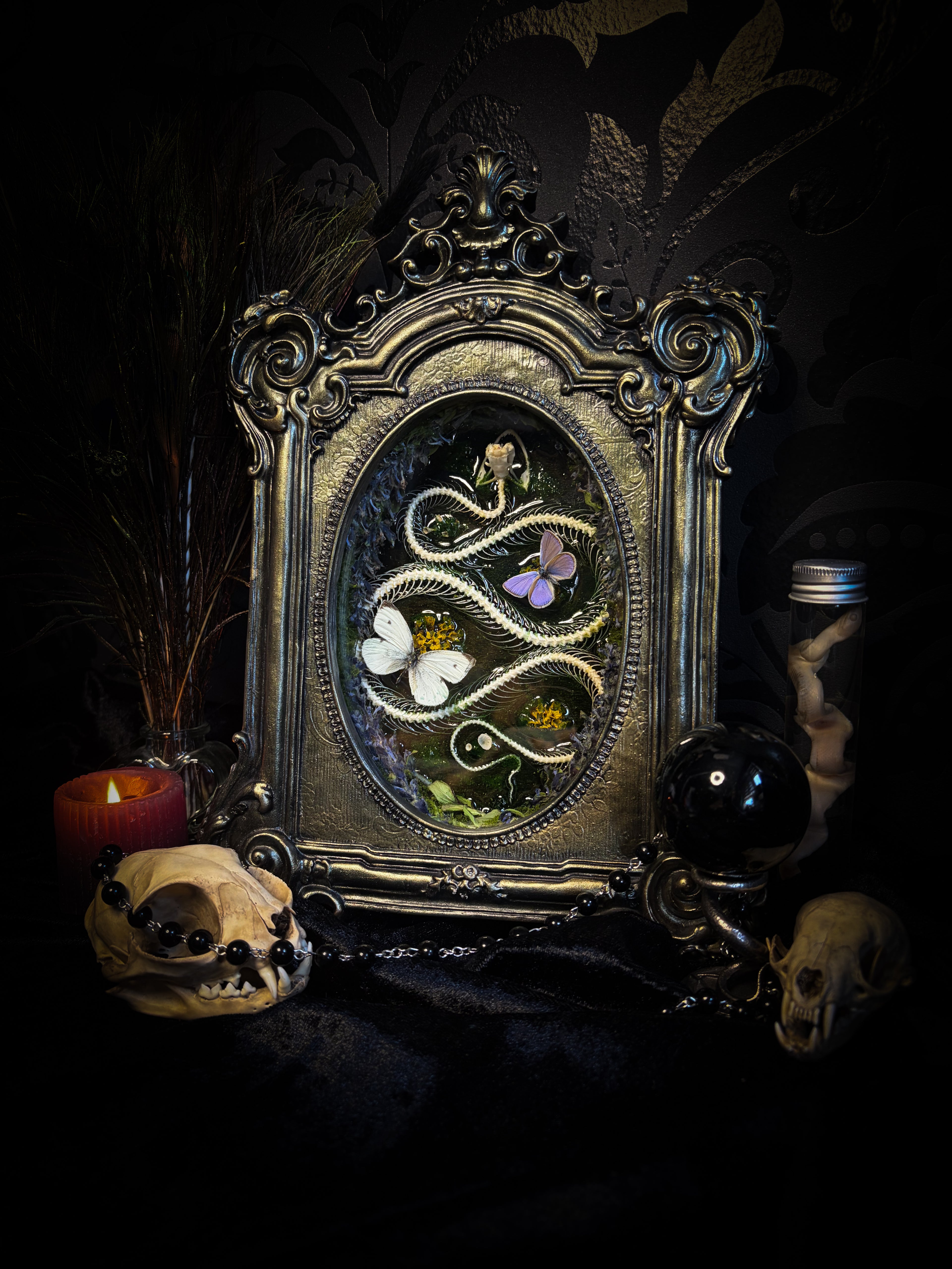 Decorative mirror with intricate design surrounded by dark elements like a skull and candle.Whimsical Marshland — handmade gothic shadowbox with real snake skeleton, preserved butterflies Pieris rapae & Polyommatus icarus, moss and fungi in baroque gold frame | Morbid Oddities