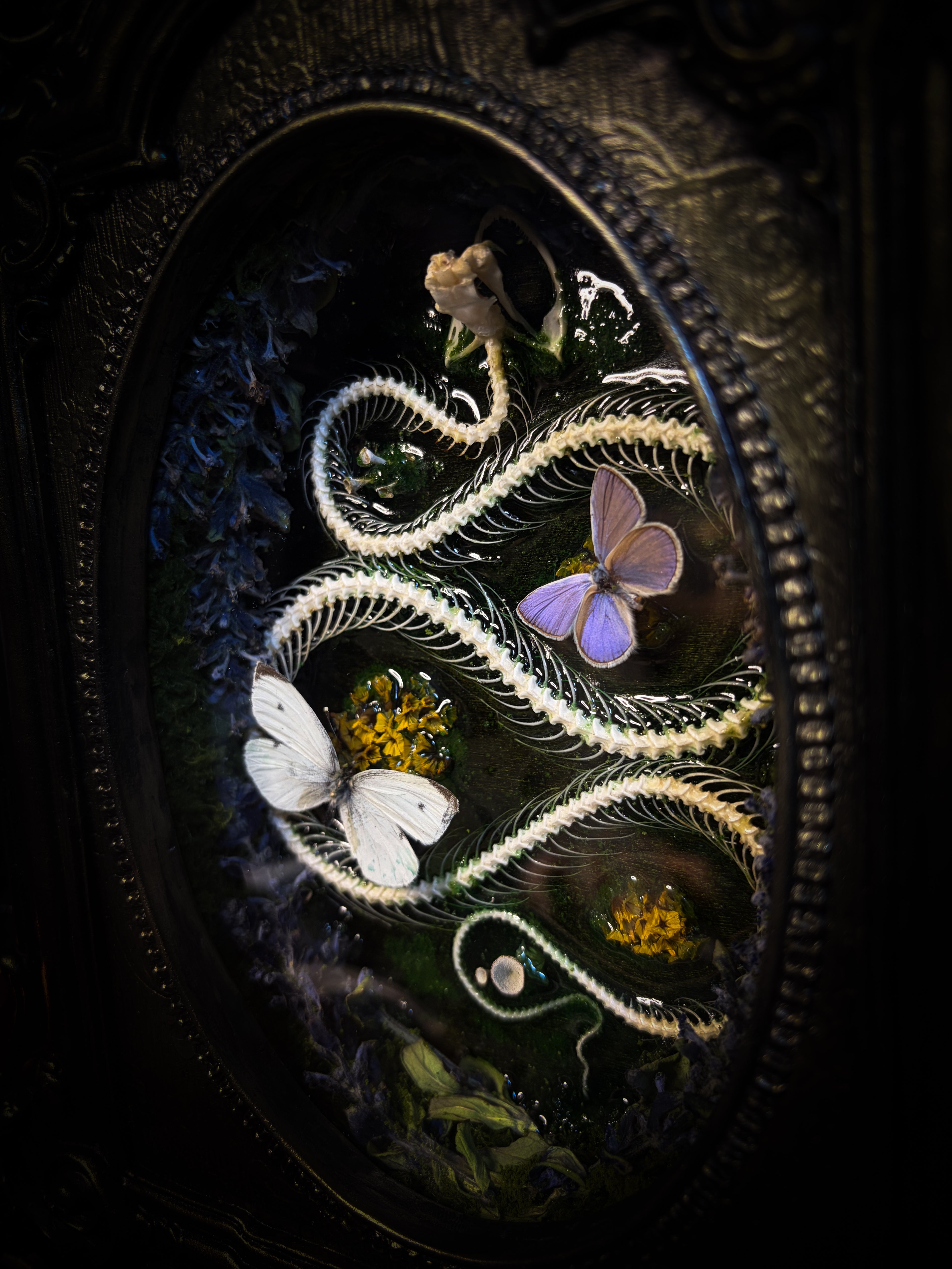 Decorative artwork with a snake, butterflies, and flowers in an ornate frame. Whimsical Marshland — handmade gothic shadowbox with real snake skeleton, preserved butterflies Pieris rapae & Polyommatus icarus, moss and fungi in baroque gold frame | Morbid Oddities
