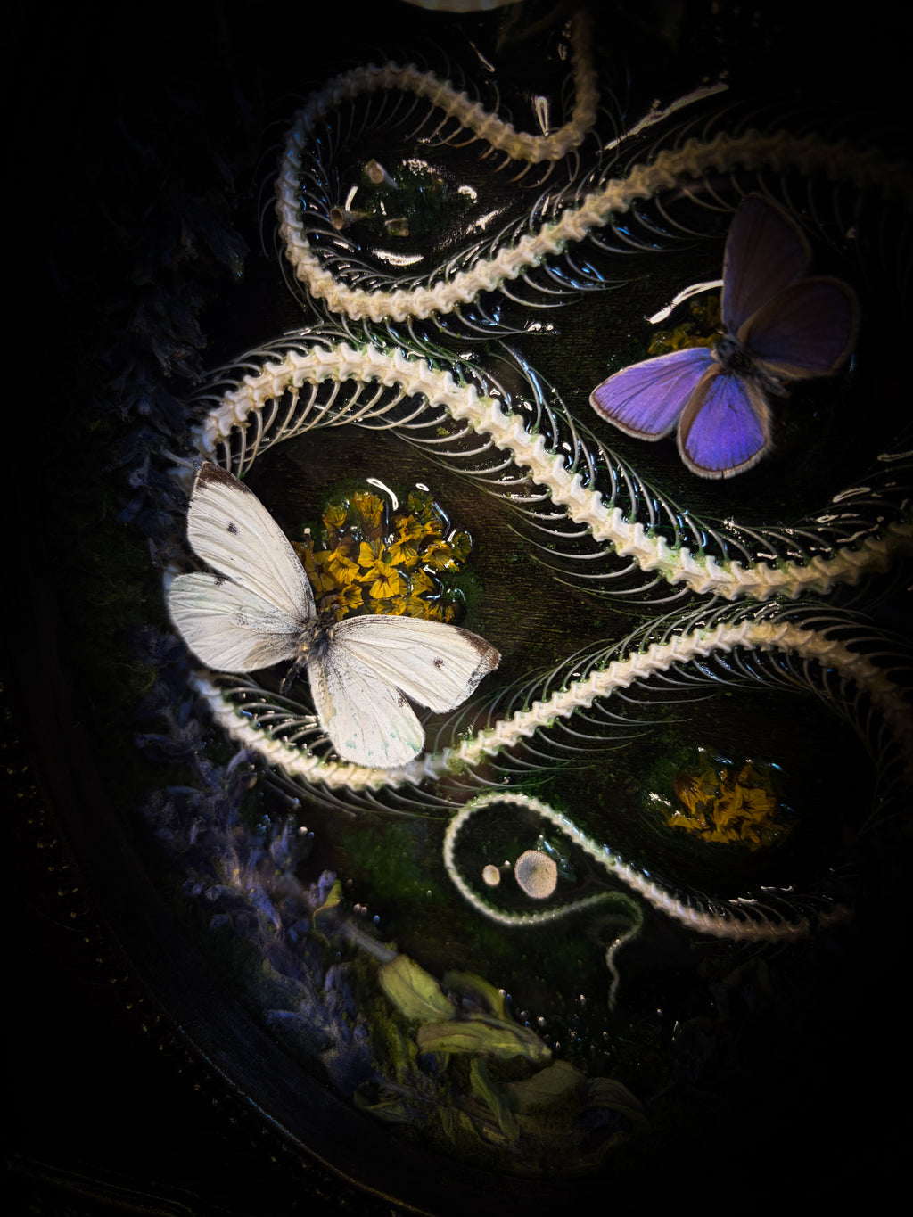 Whimsical Marshland — handmade gothic shadowbox with real snake skeleton, preserved butterflies Pieris rapae & Polyommatus icarus, moss and fungi in baroque gold frame | Morbid Oddities