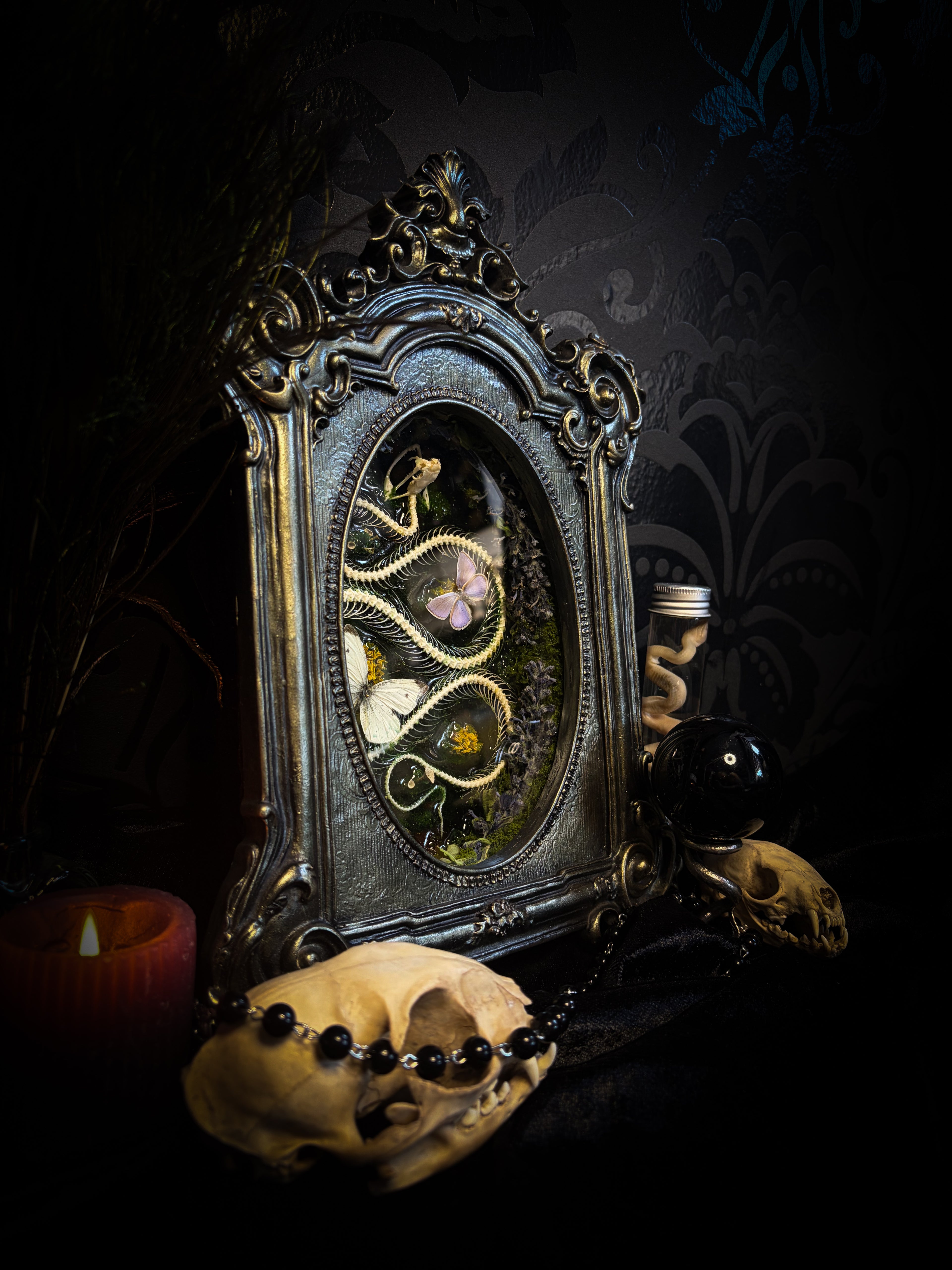 Decorative frame with small figurines and a skull on a dark background Whimsical Marshland — handmade gothic shadowbox with real snake skeleton, preserved butterflies Pieris rapae & Polyommatus icarus, moss and fungi in baroque gold frame | Morbid Oddities