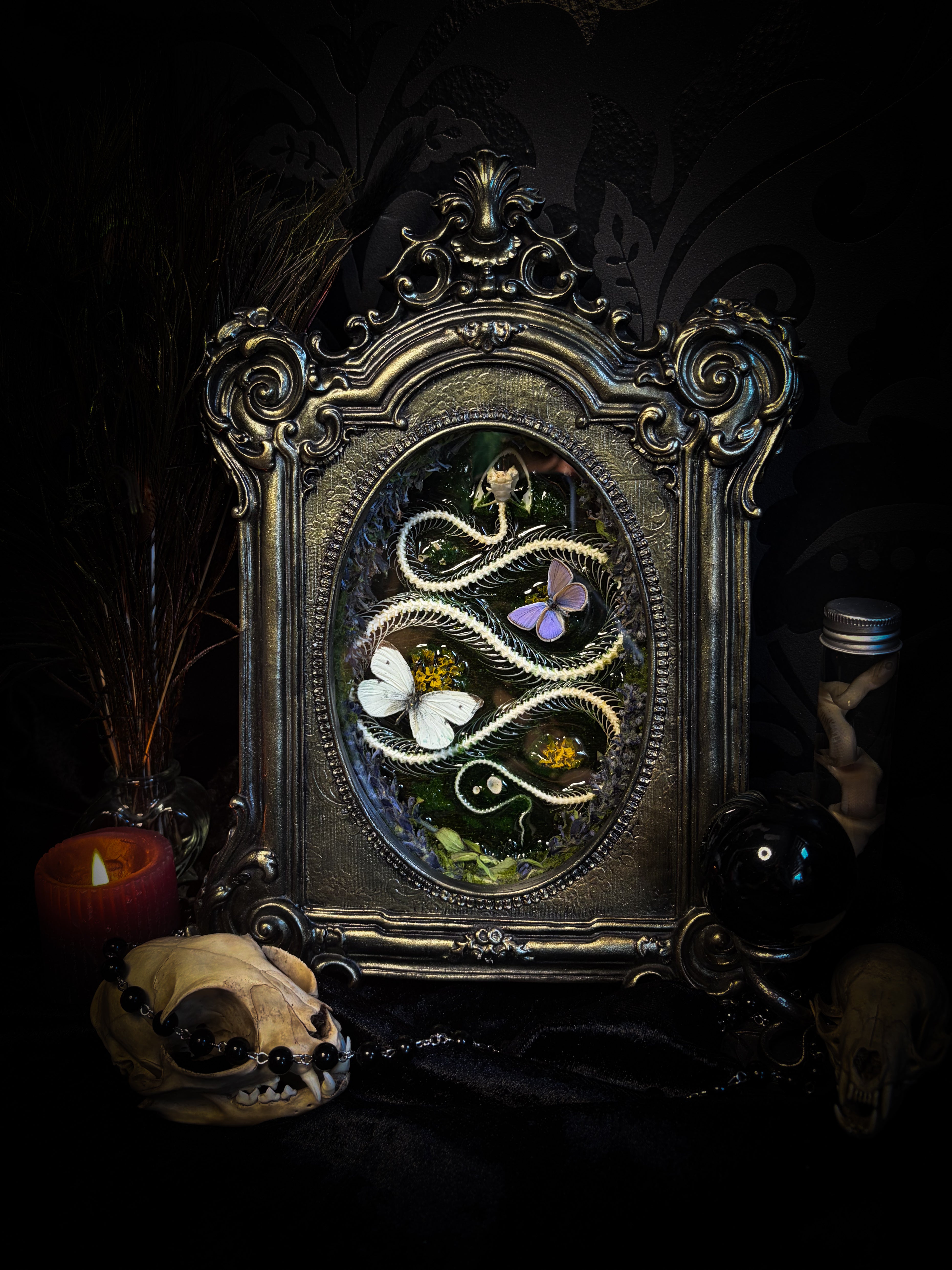 Decorative frame with a snake and butterfly design on a dark background Whimsical Marshland — handmade gothic shadowbox with real snake skeleton, preserved butterflies Pieris rapae & Polyommatus icarus, moss and fungi in baroque gold frame | Morbid Oddities